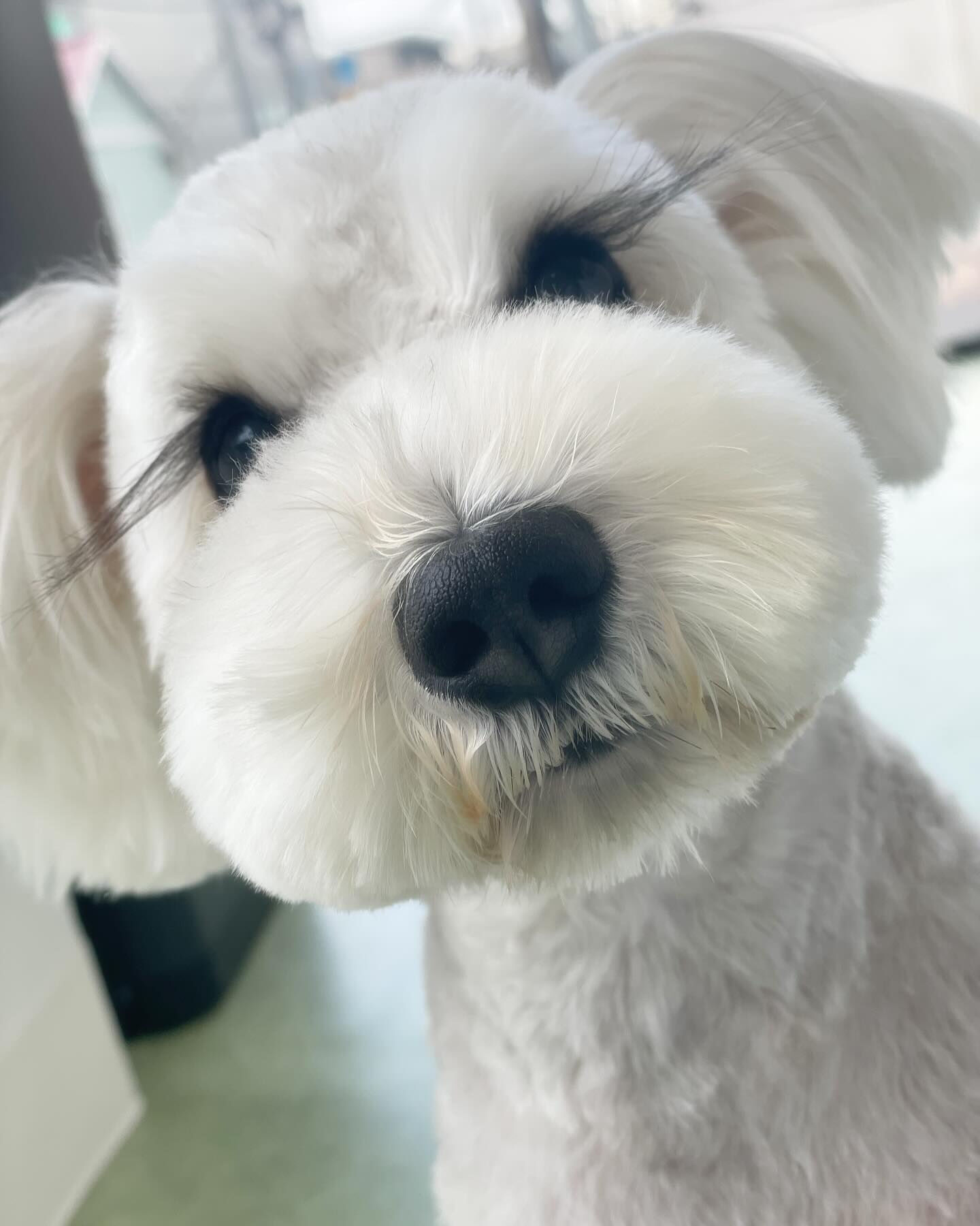 再来店ありがとうございます！