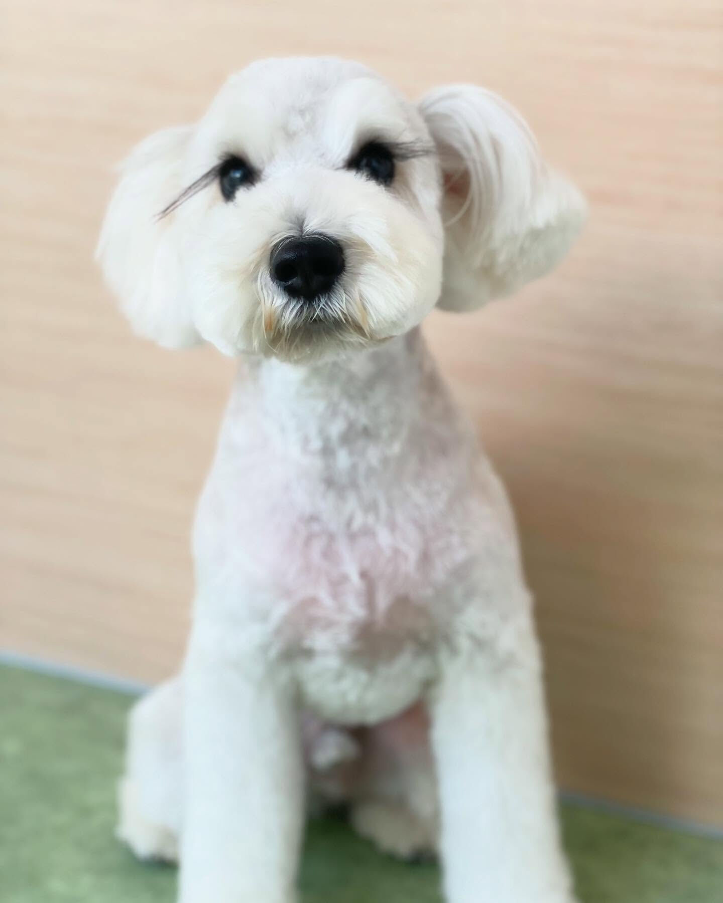 再来店ありがとうございます！