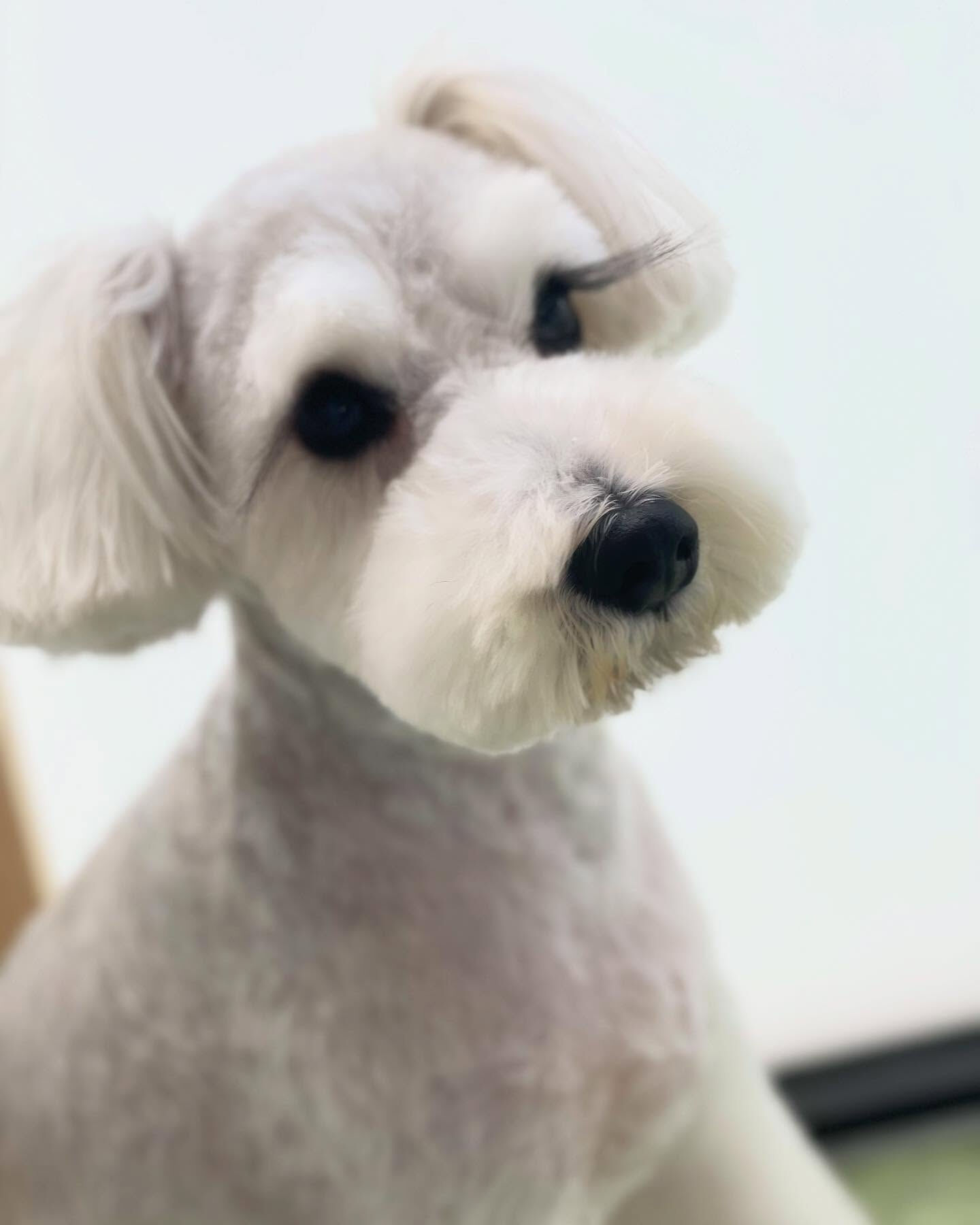 再来店ありがとうございます！
