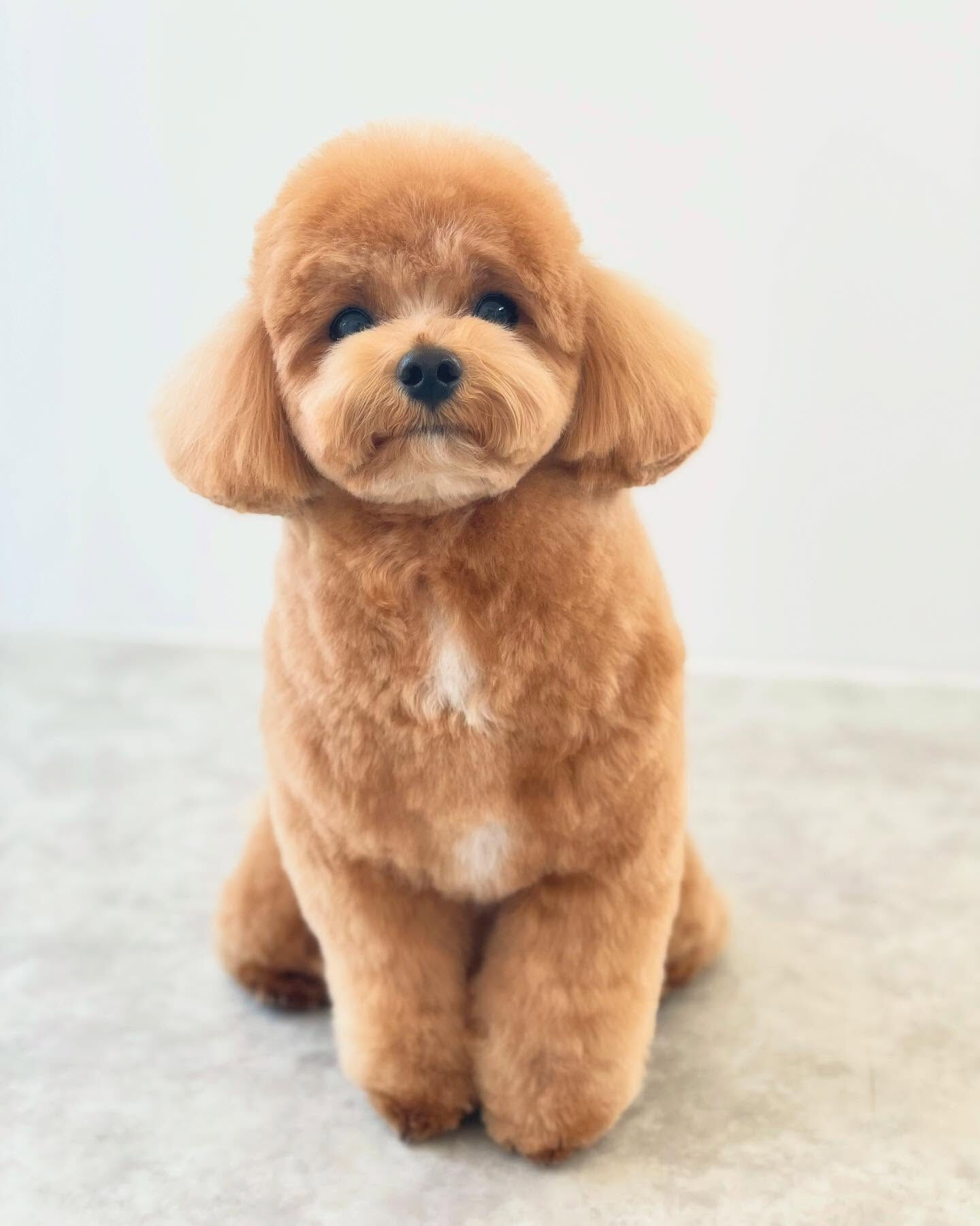 1さいになったばかりのちくわくん😆