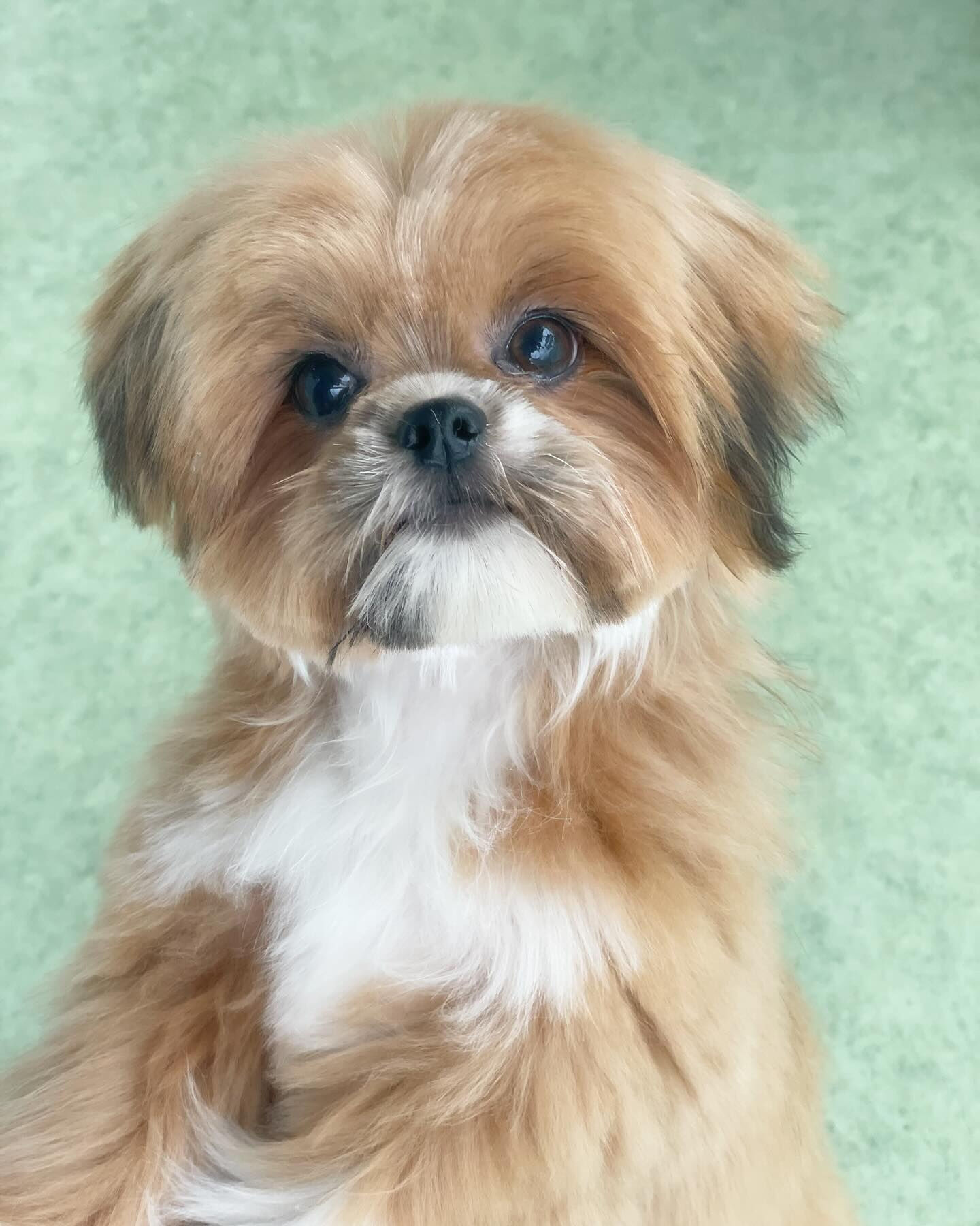 ちぃずちゃん♡少し大きくなってた！