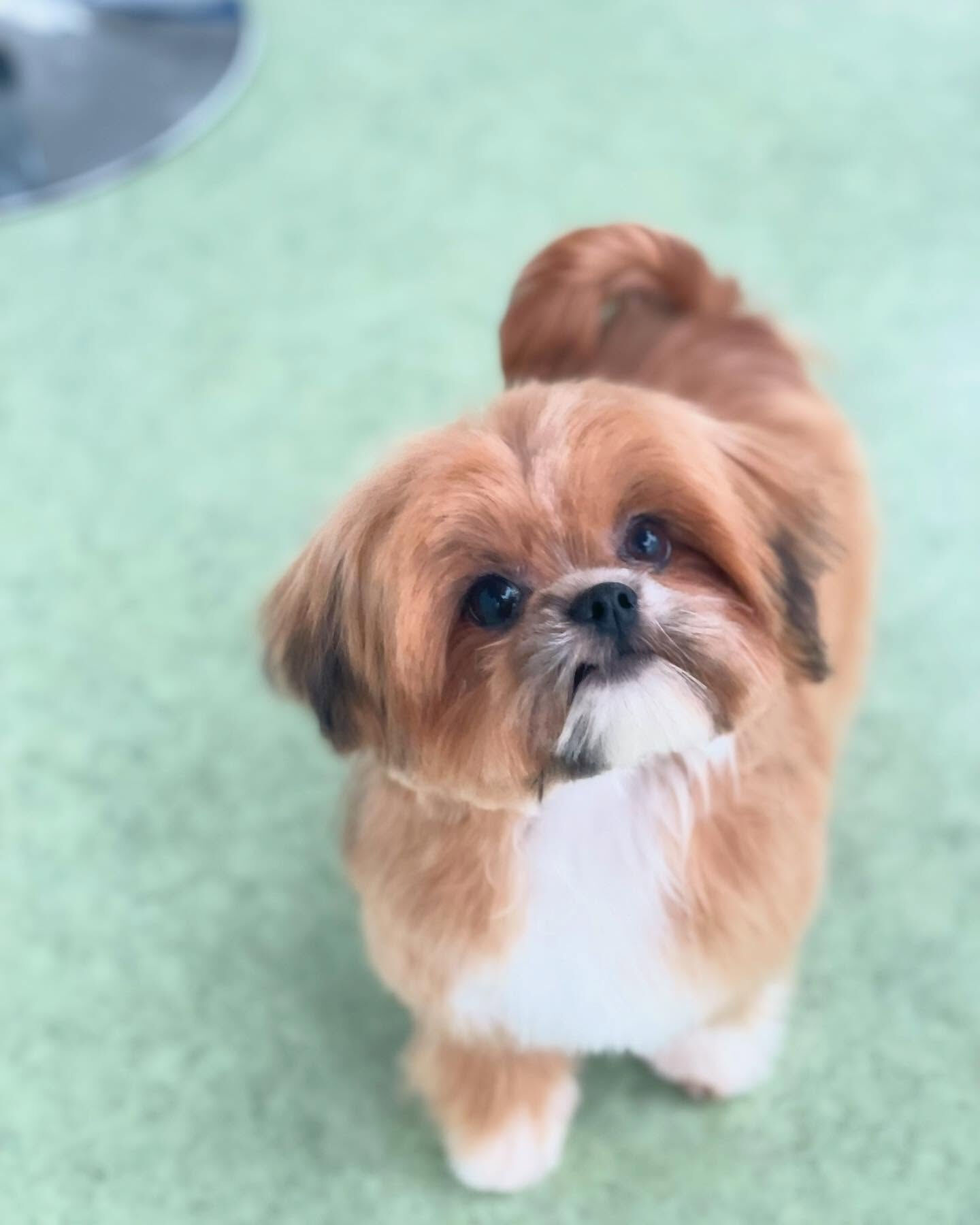 ちぃずちゃん♡少し大きくなってた！