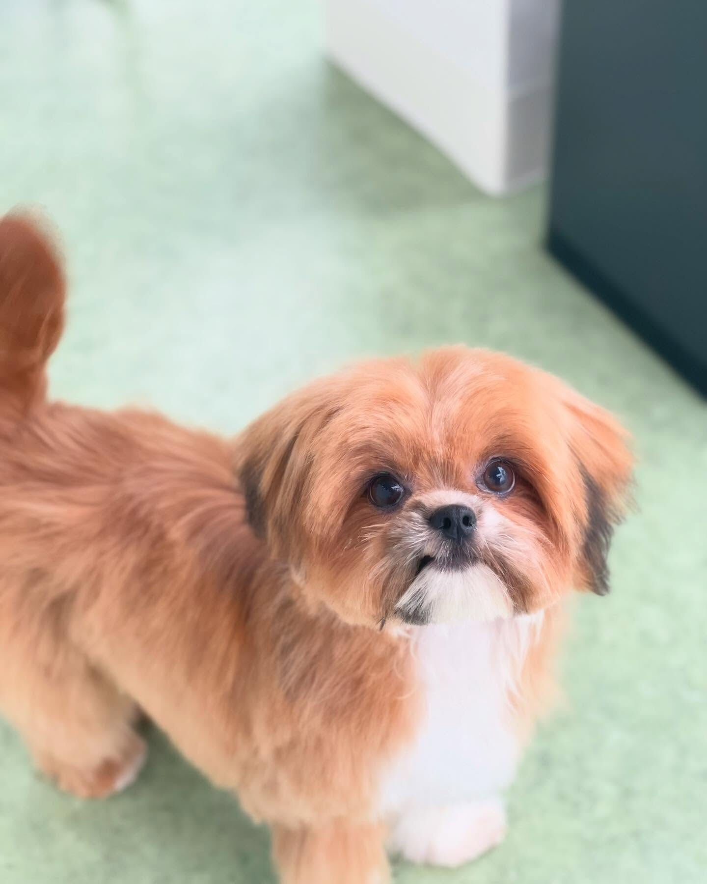 ちぃずちゃん♡少し大きくなってた！