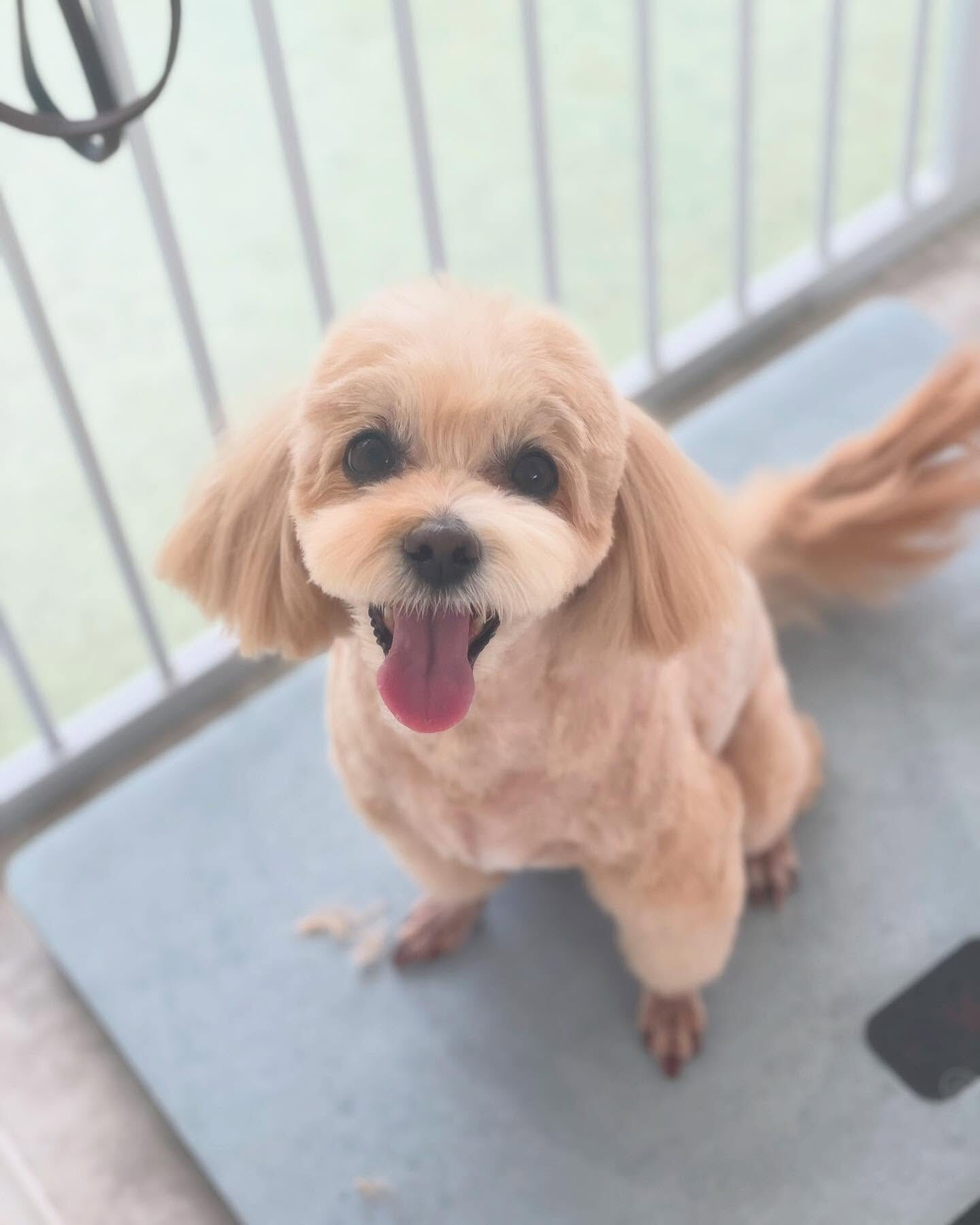 今日もお疲れさまでした！