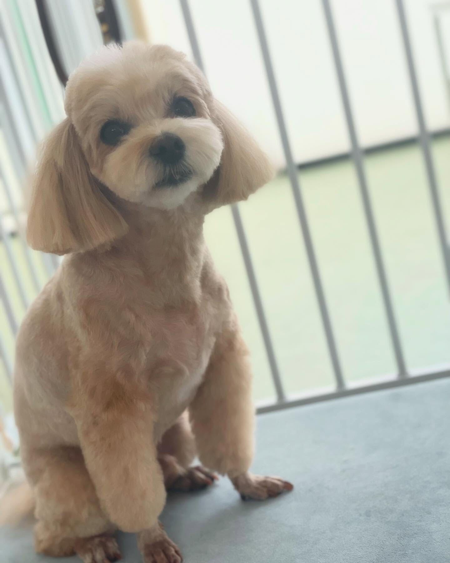 今日もお疲れさまでした！
