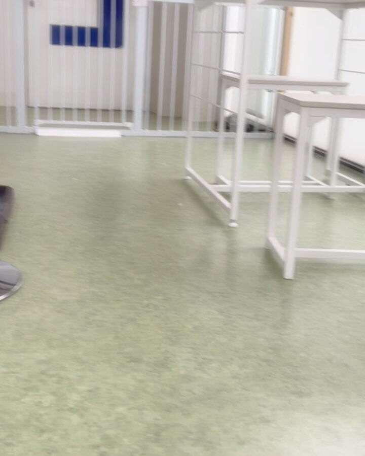 元気いっぱいの三兄弟（同い年）！
