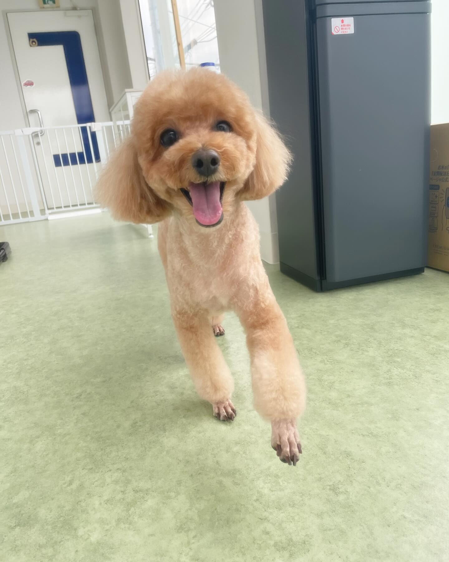 初めましてのアイキちゃん✨