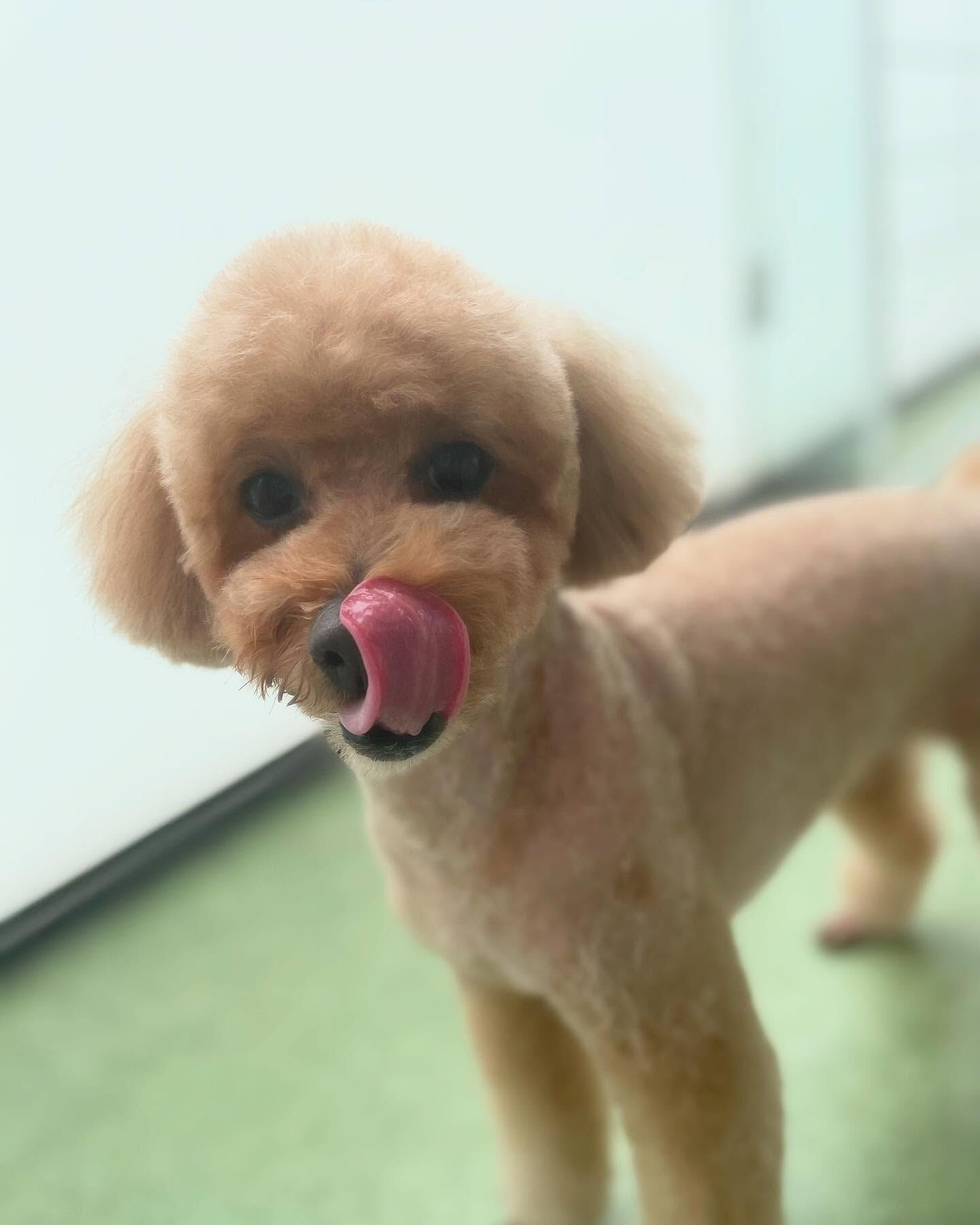 初めましてのアイキちゃん✨