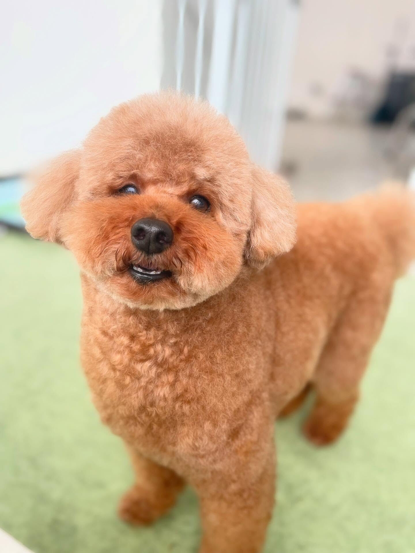 いろんな顔を見せてくれるフラッシュくんとライトくん！
