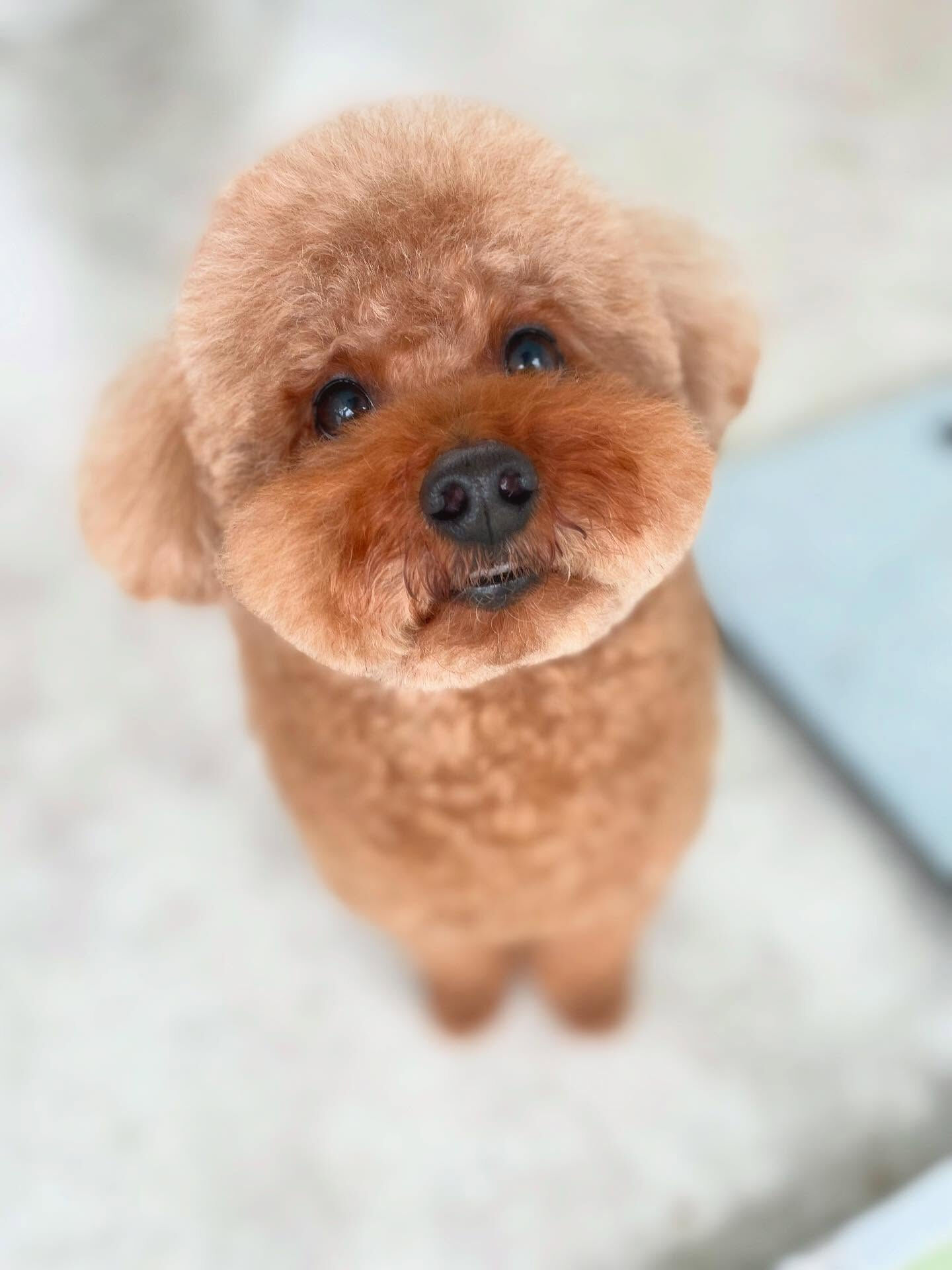 いろんな顔を見せてくれるフラッシュくんとライトくん！