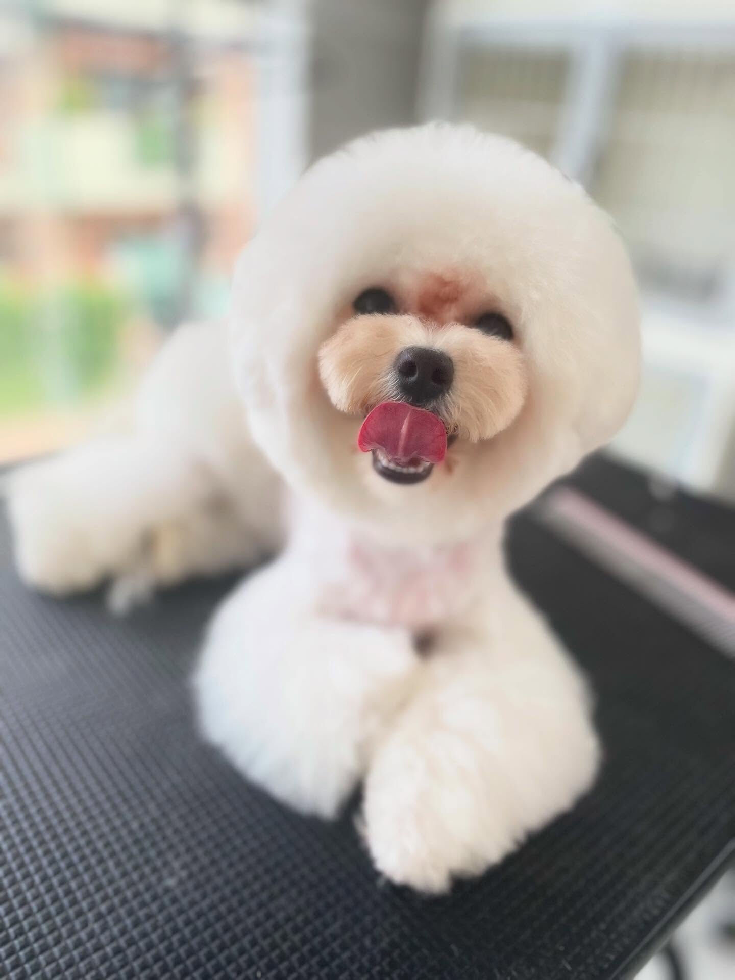 今日は暑すぎ(-｡-;