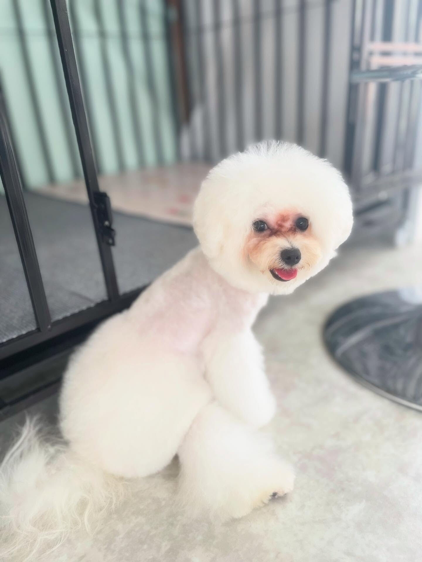今日は暑すぎ(-｡-;