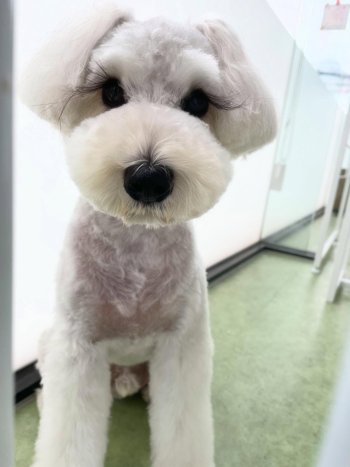 かわいい写真が多すぎて厳選に時間かかった(^^;;