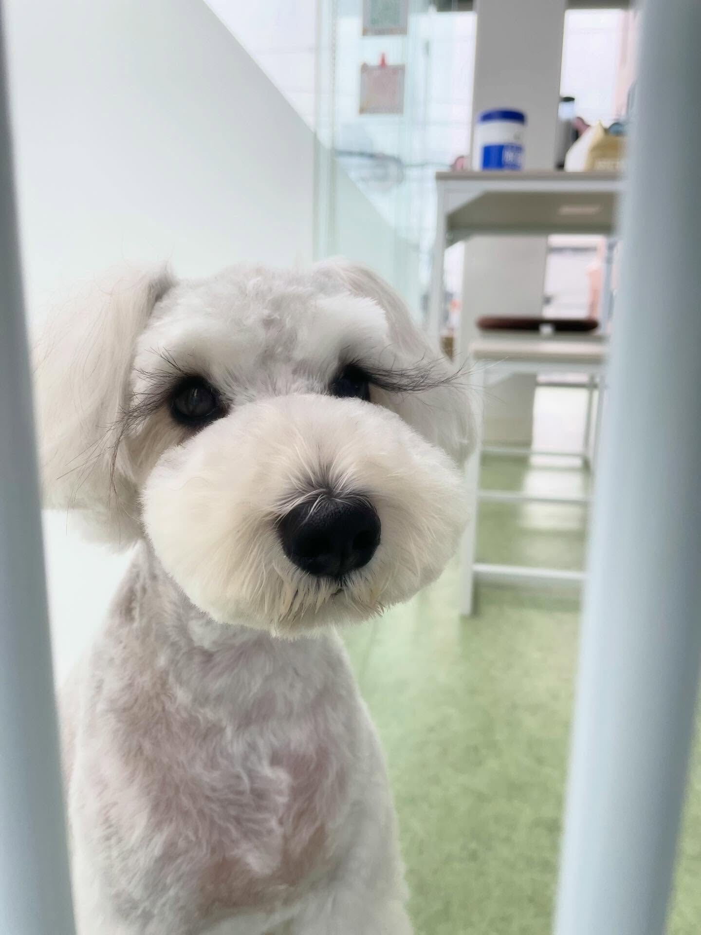 かわいい写真が多すぎて厳選に時間かかった(^^;;