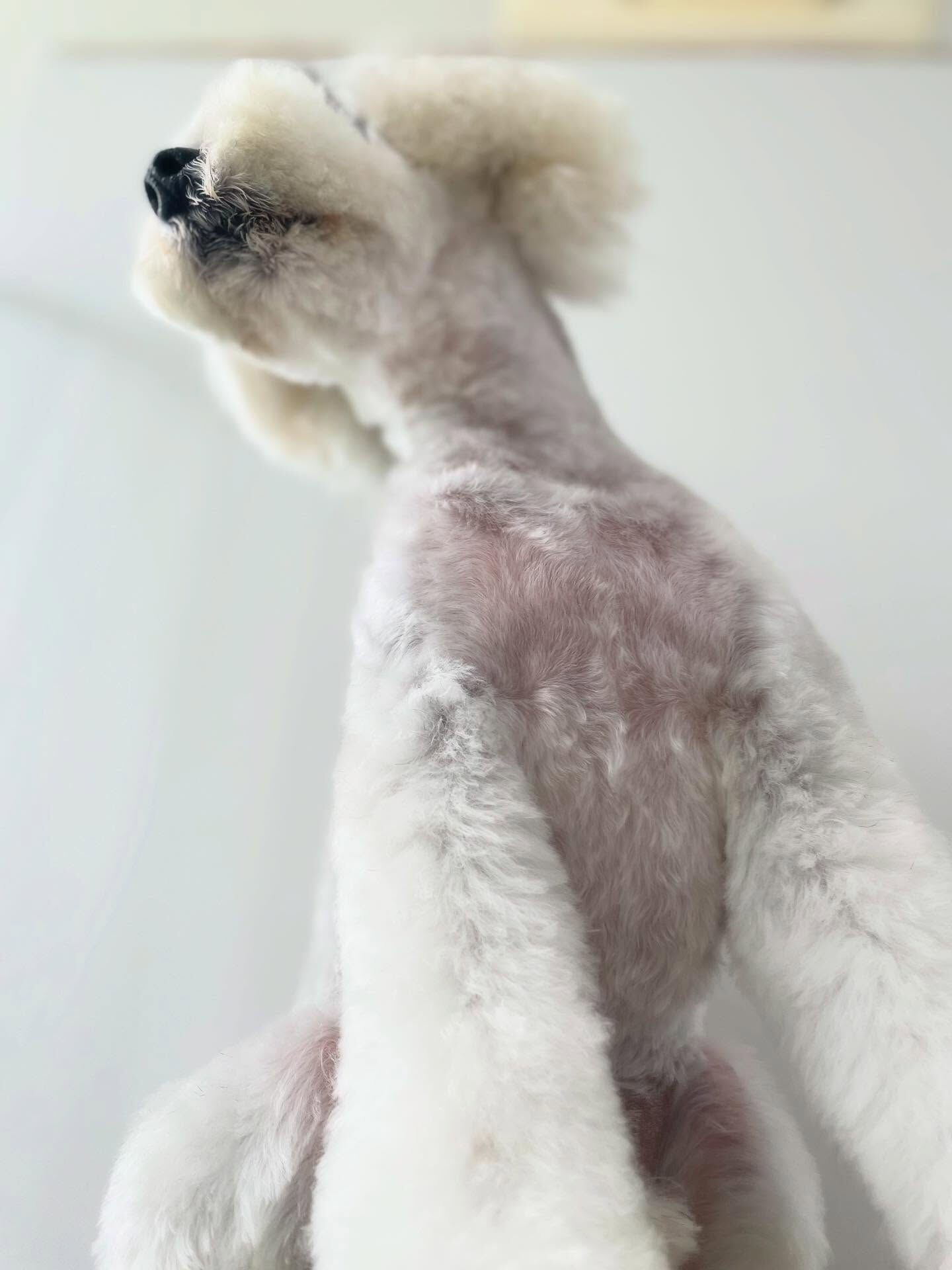 かわいい写真が多すぎて厳選に時間かかった(^^;;