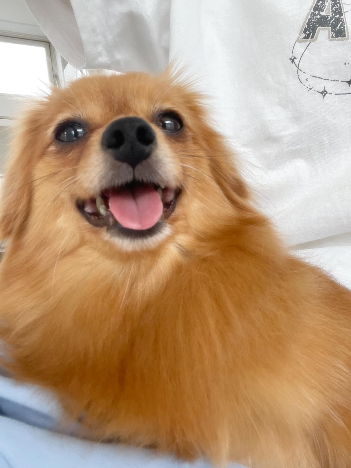 初めましてのこまちゃん♡