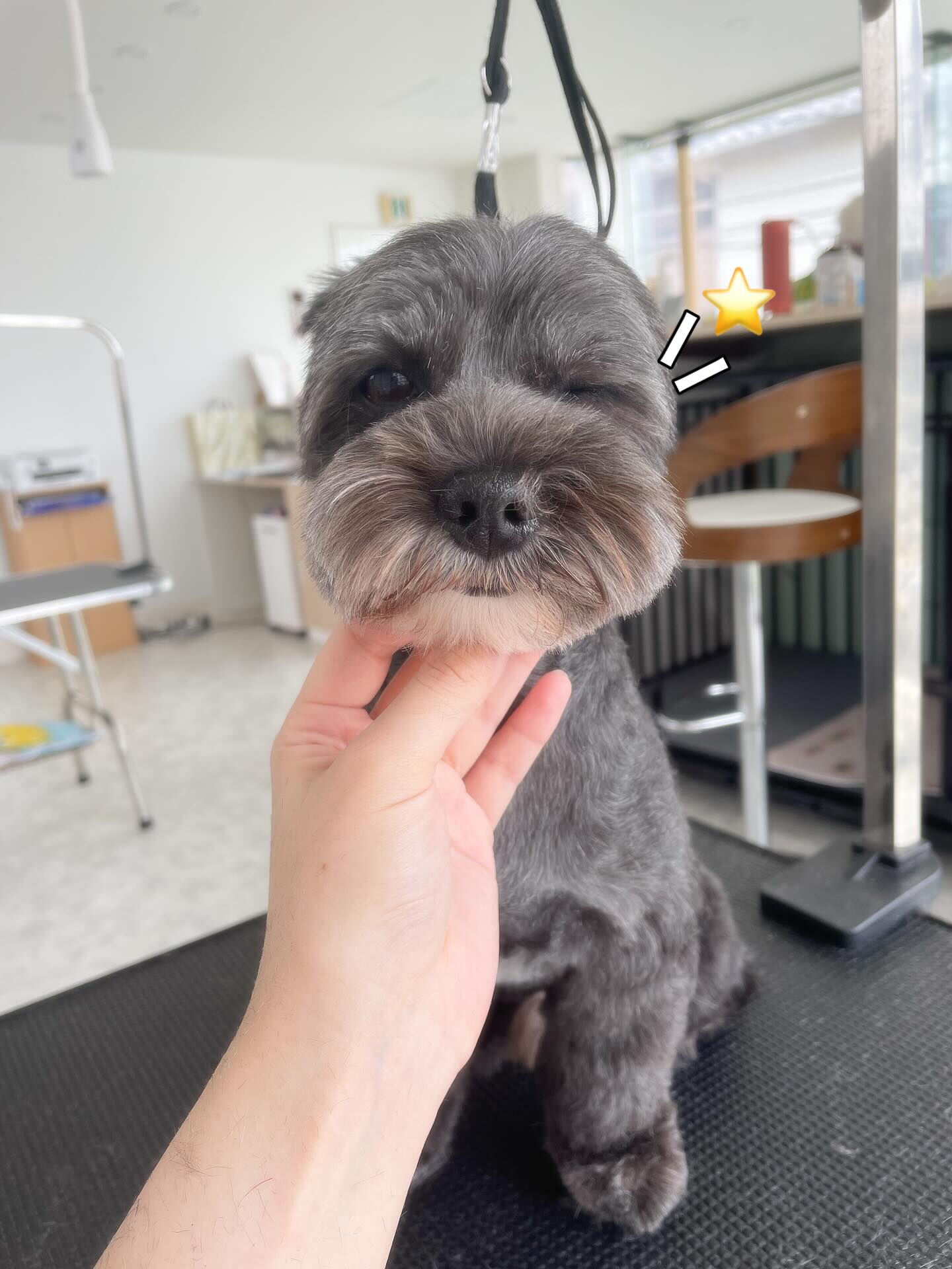 仲良しな2匹ちゃん！