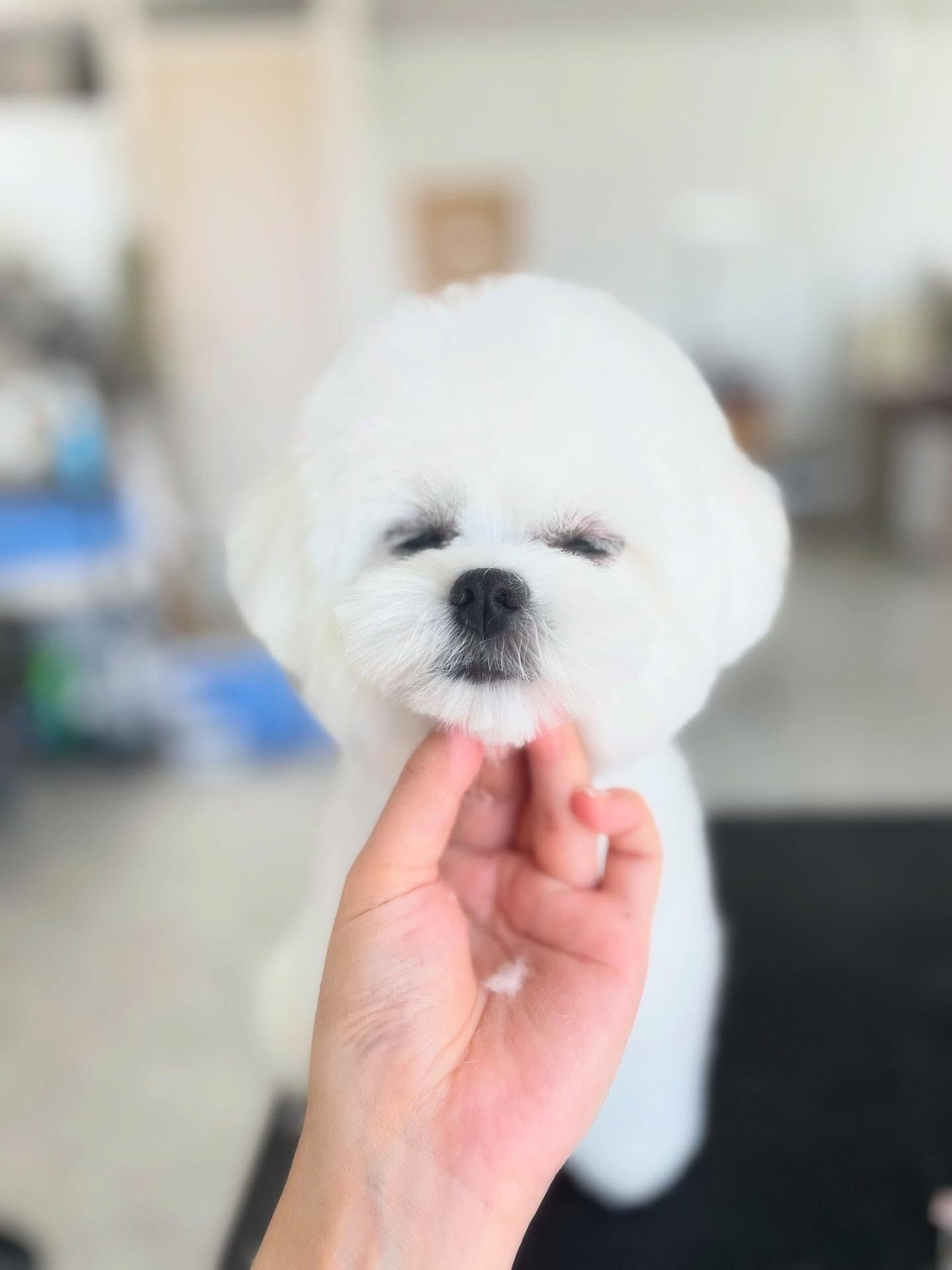 おねむかな(_ _).｡o○お疲れ様！