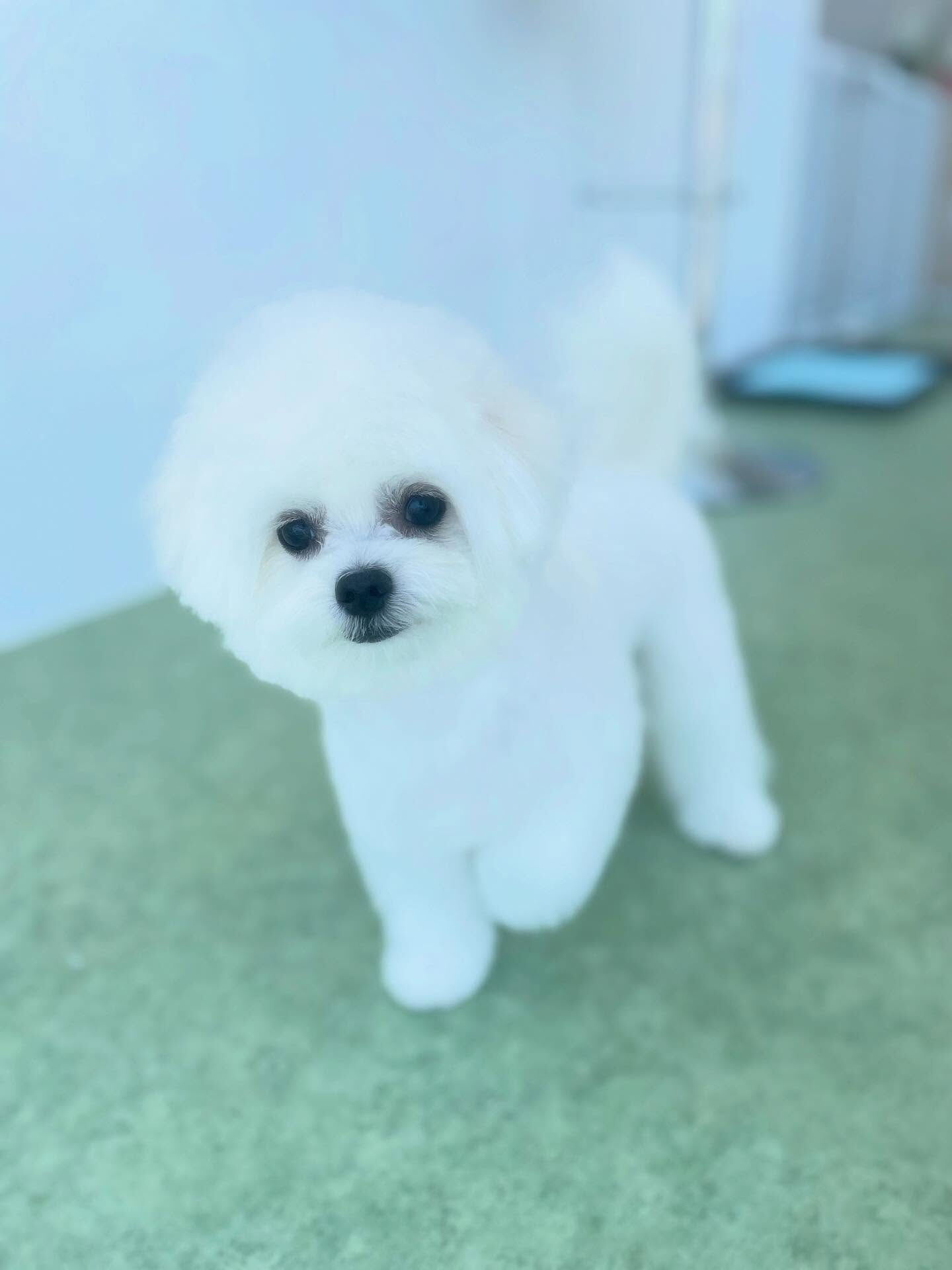 おねむかな(_ _).｡o○お疲れ様！