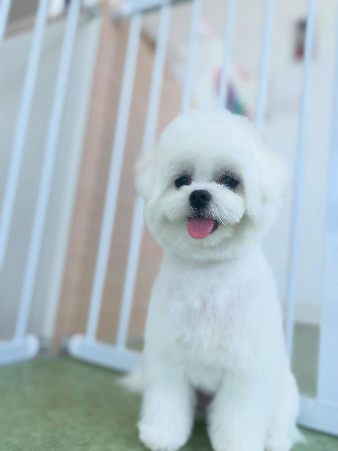 おねむかな(_ _).｡o○お疲れ様！