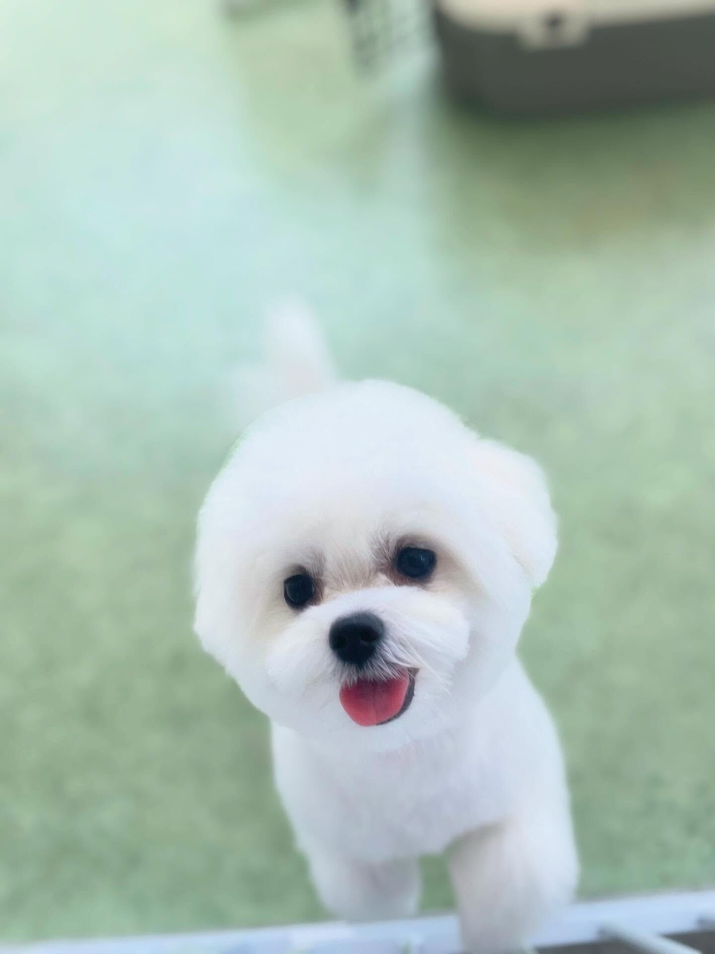 おねむかな(_ _).｡o○お疲れ様！