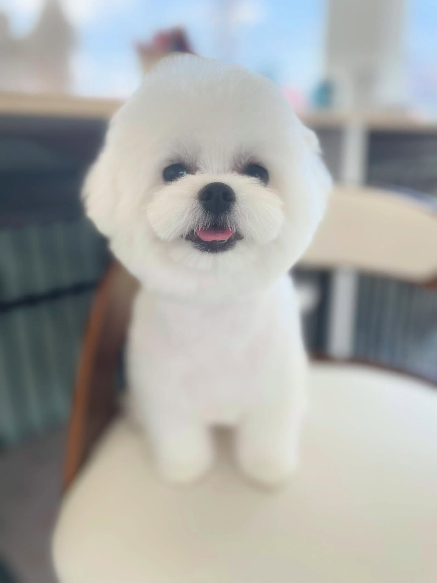 おねむかな(_ _).｡o○お疲れ様！