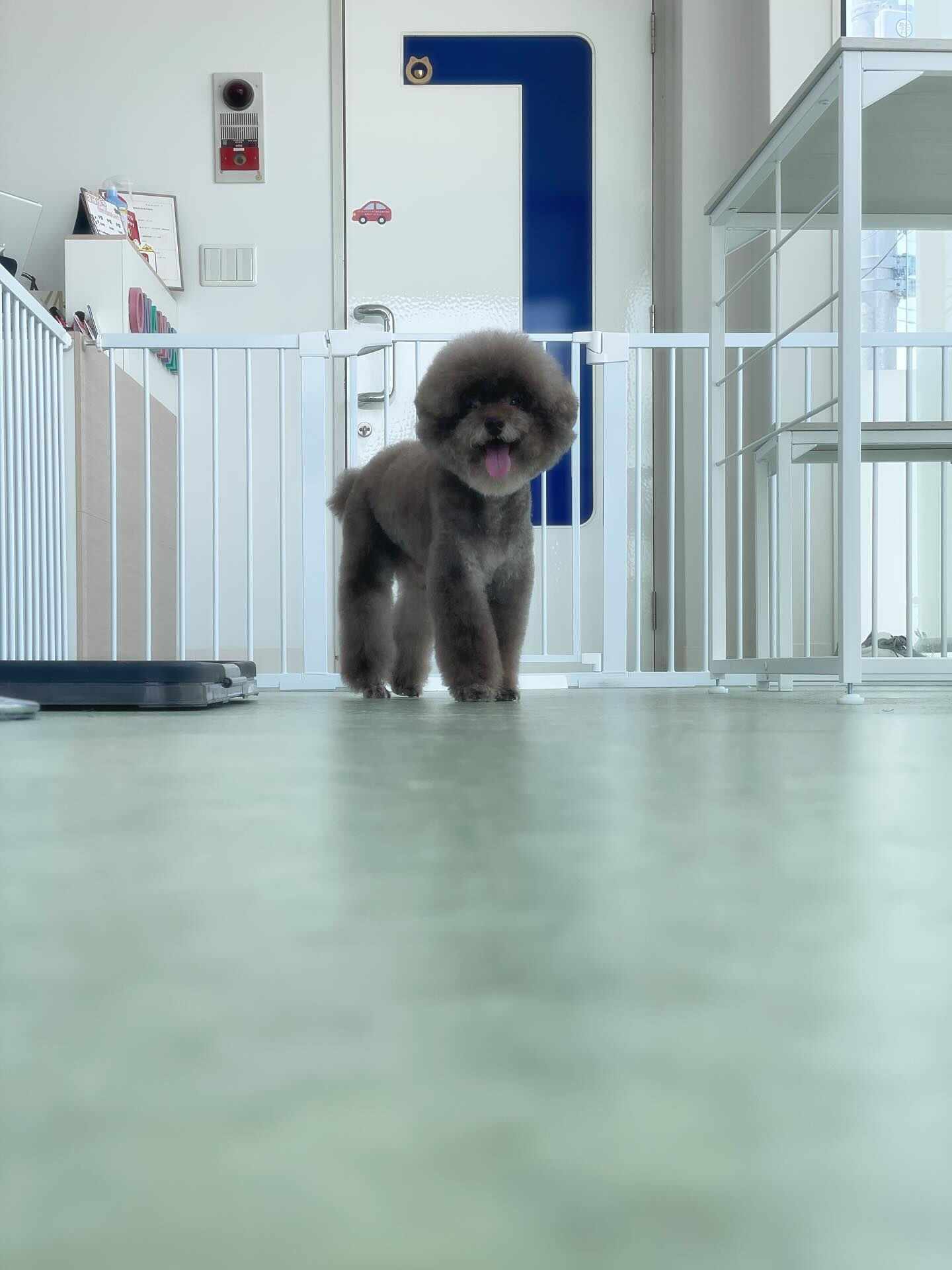 ココちゃんまた来てくれてありがとー！