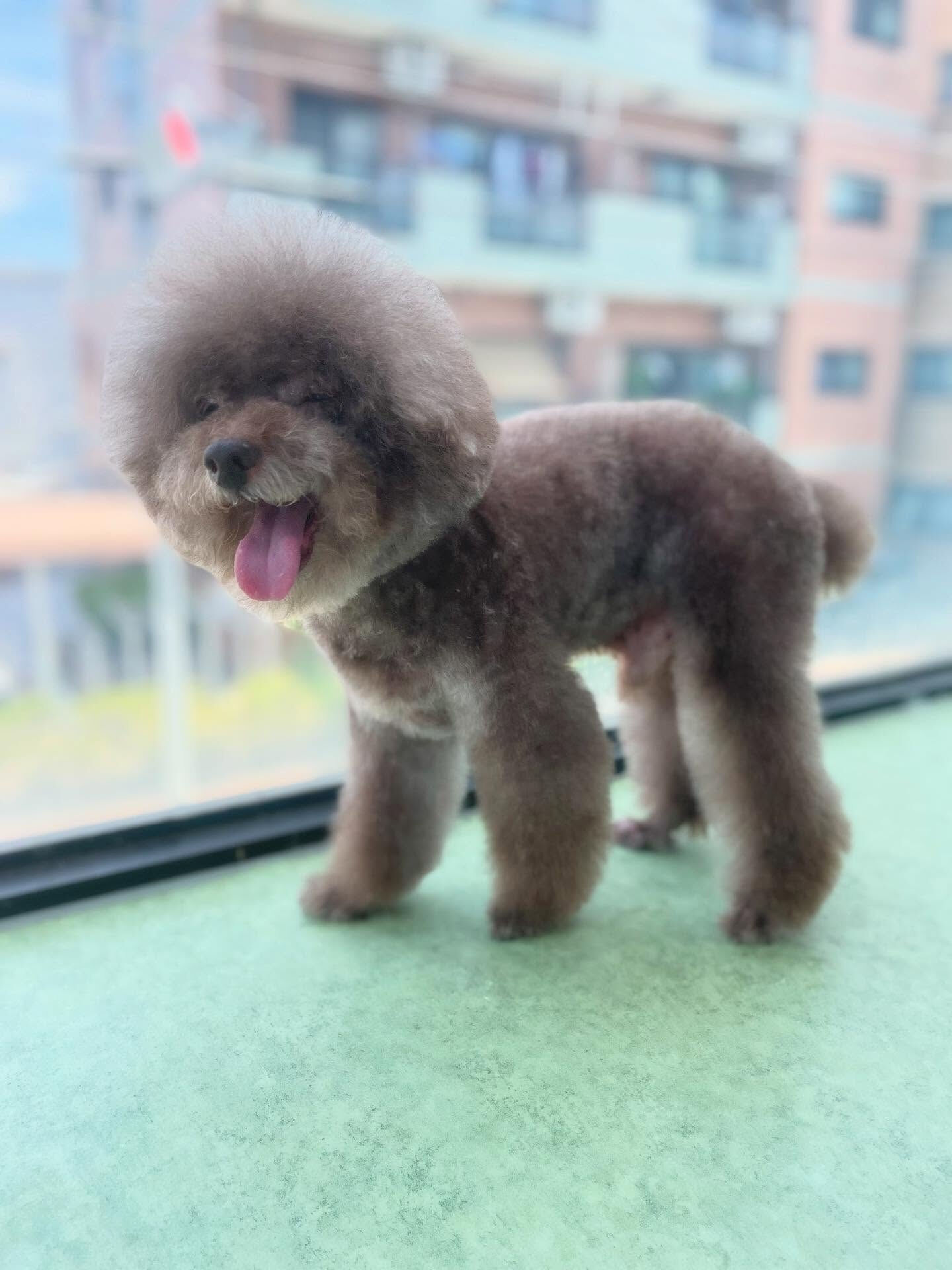 ココちゃんまた来てくれてありがとー！
