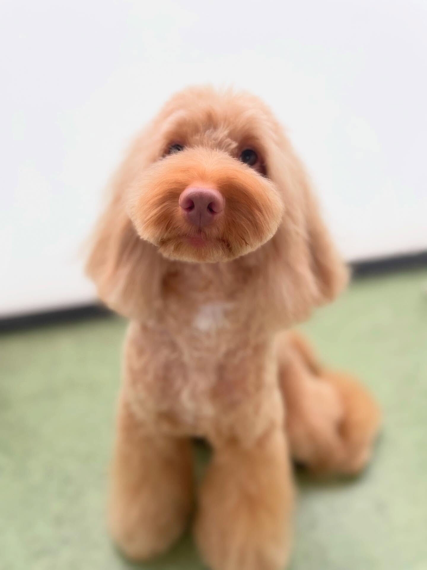 いつもご来店ありがとうございます☆