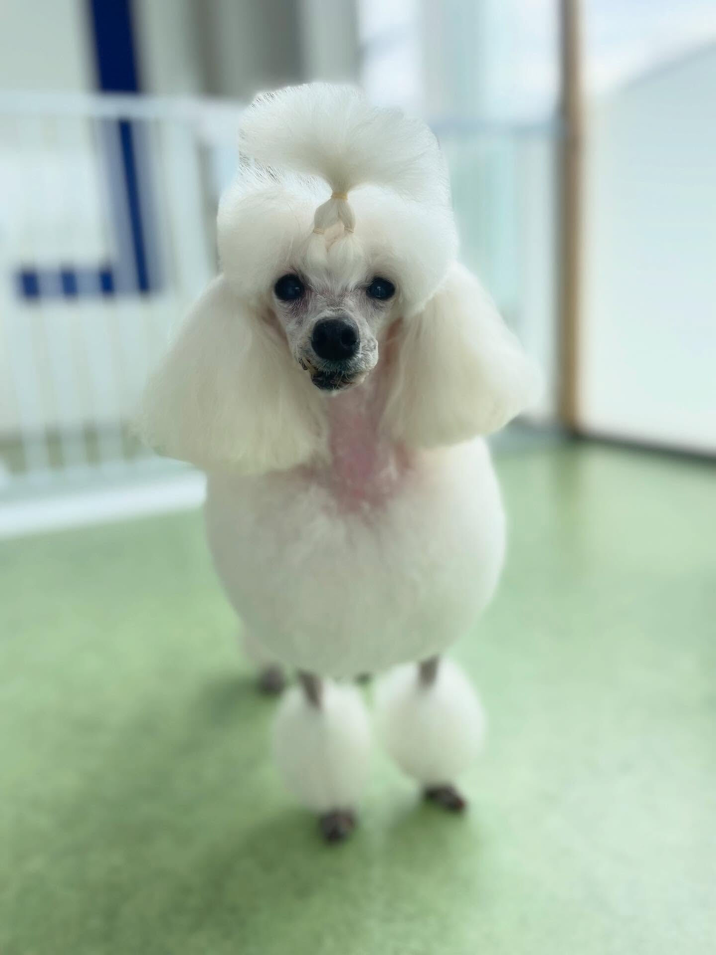 いつもご来店ありがとうございます☆