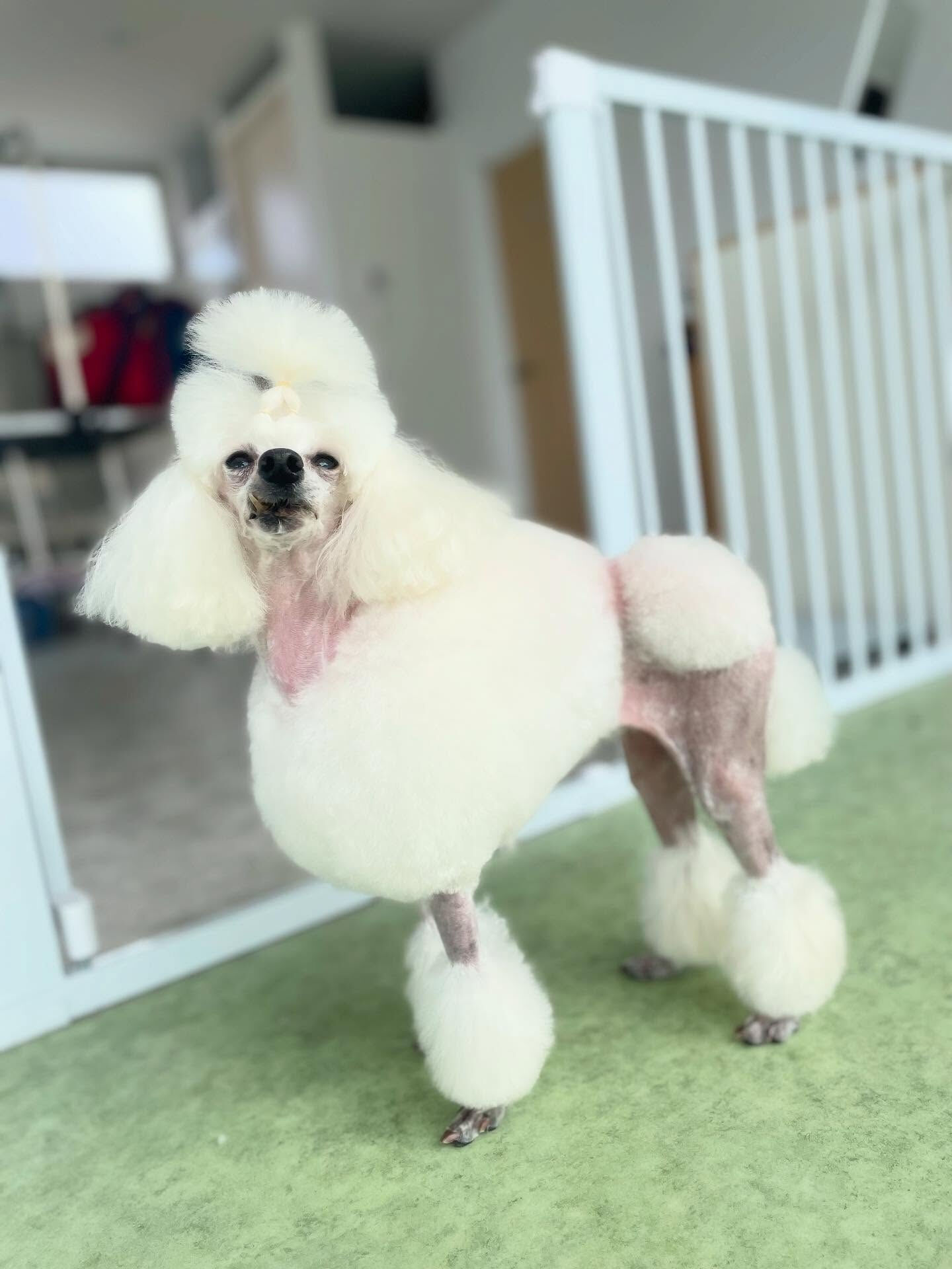 いつもご来店ありがとうございます☆