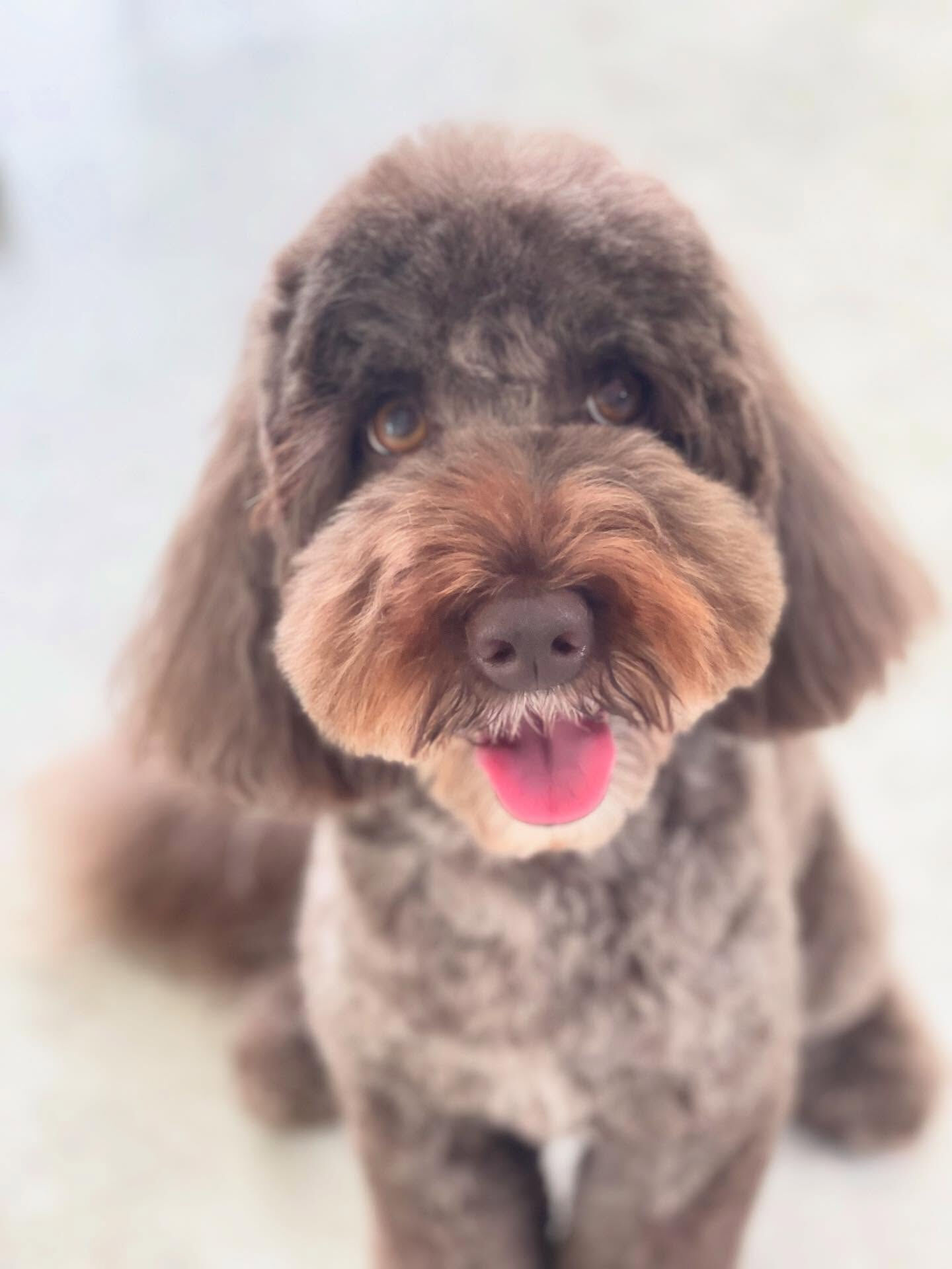 人懐っこいまるくんとアンくん😊