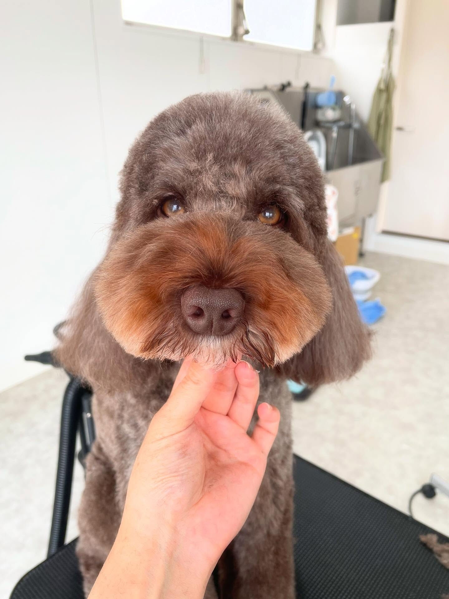 人懐っこいまるくんとアンくん😊