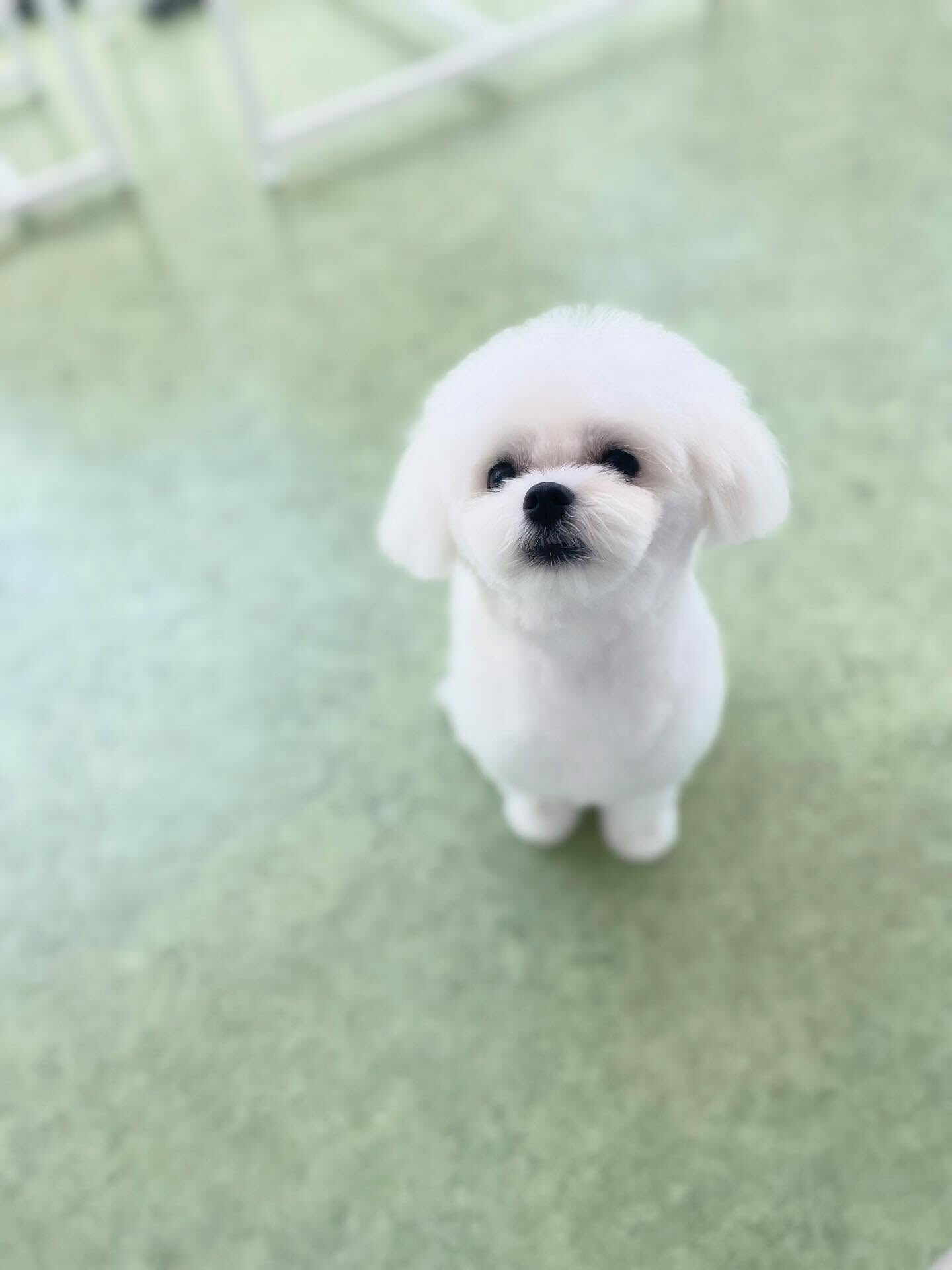 同じお家から来てくれました！