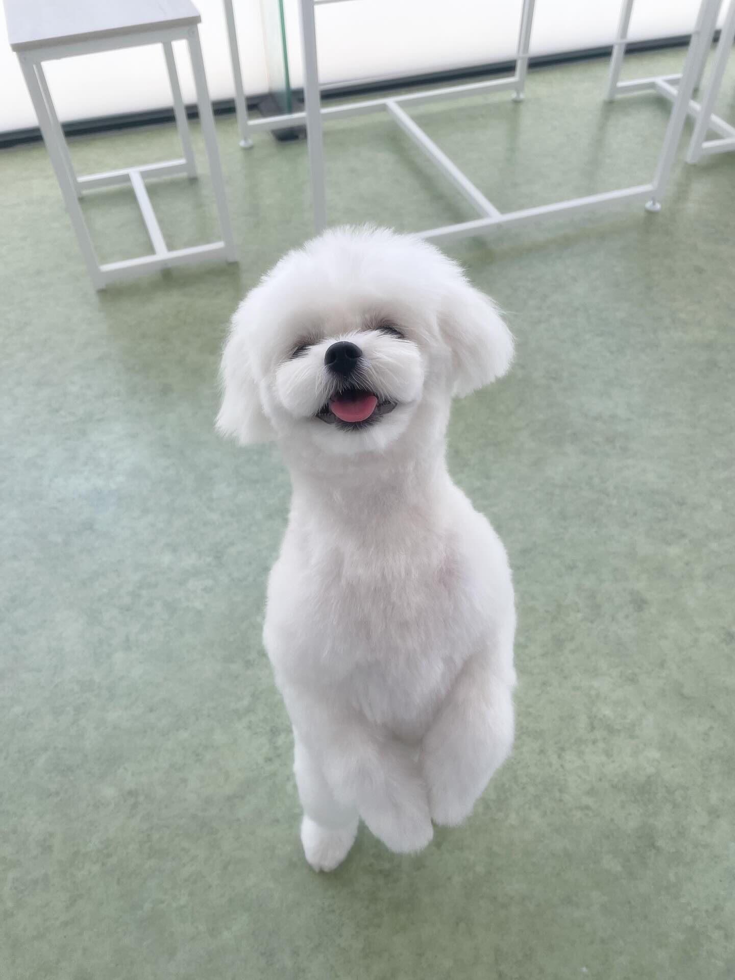 同じお家から来てくれました！