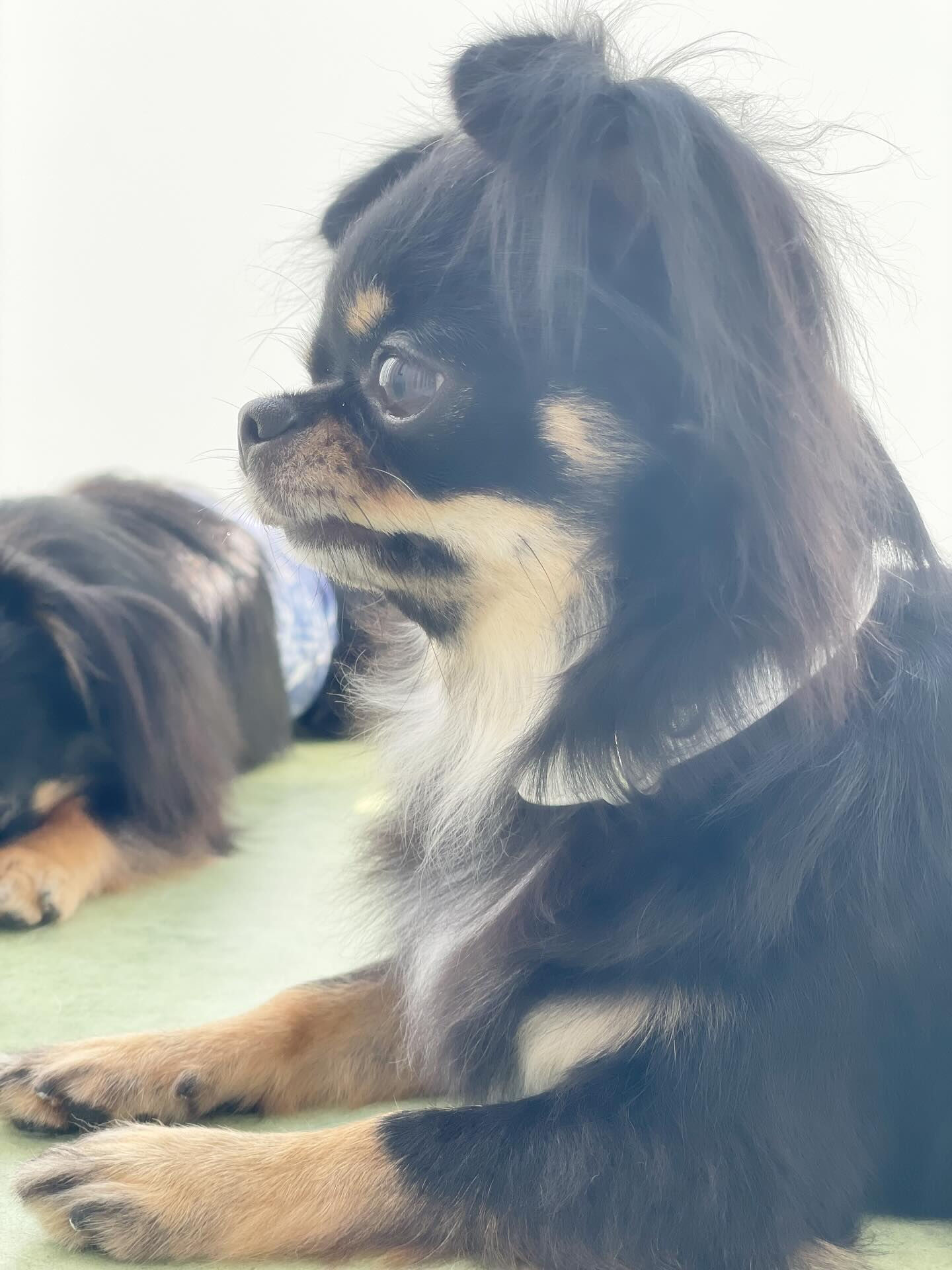 ふたりのせかい✨