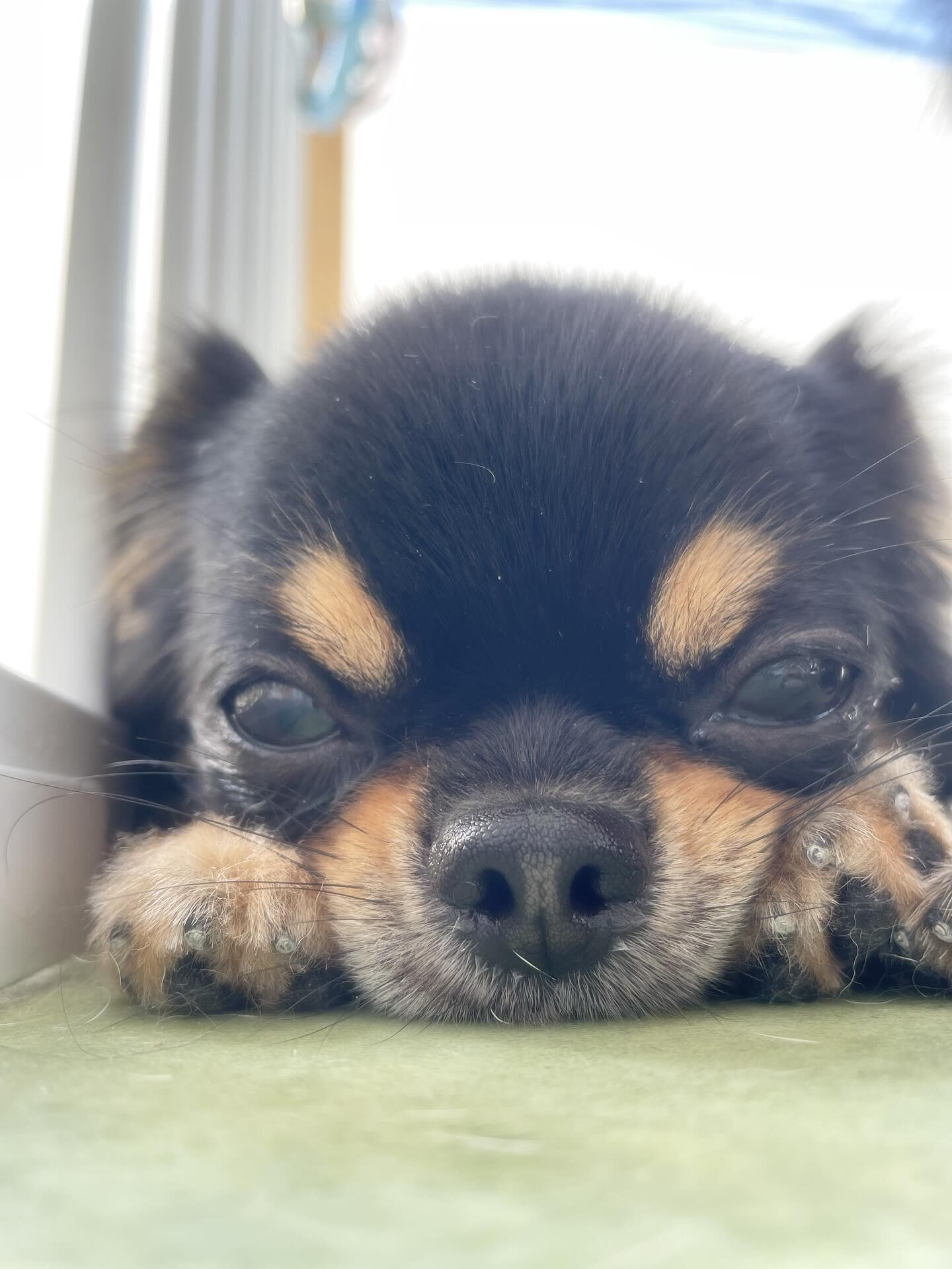 ふたりのせかい✨