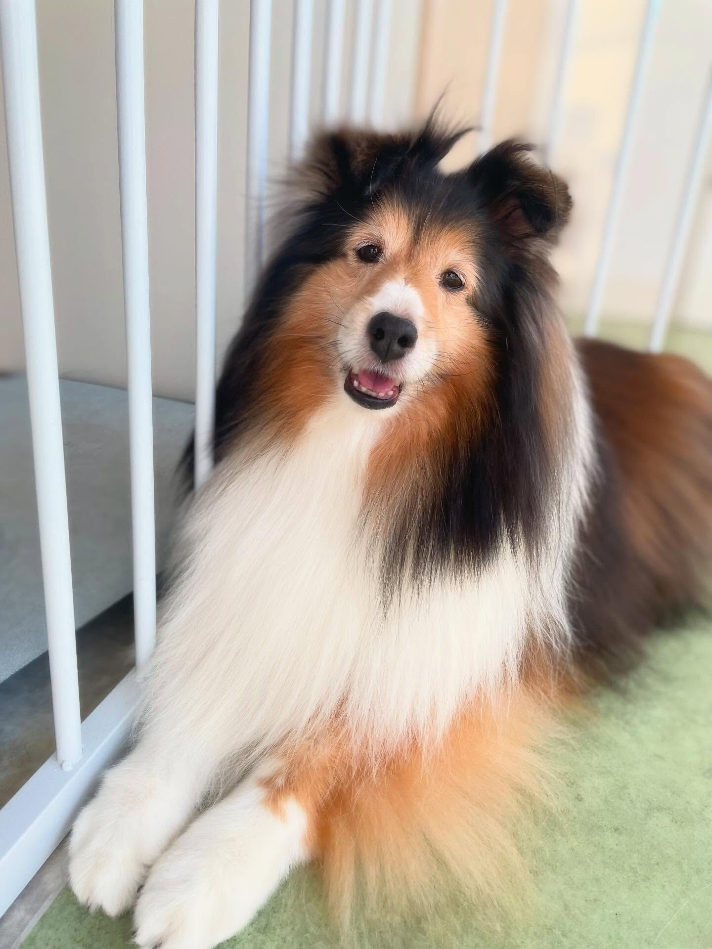8月最後のお客様☀️