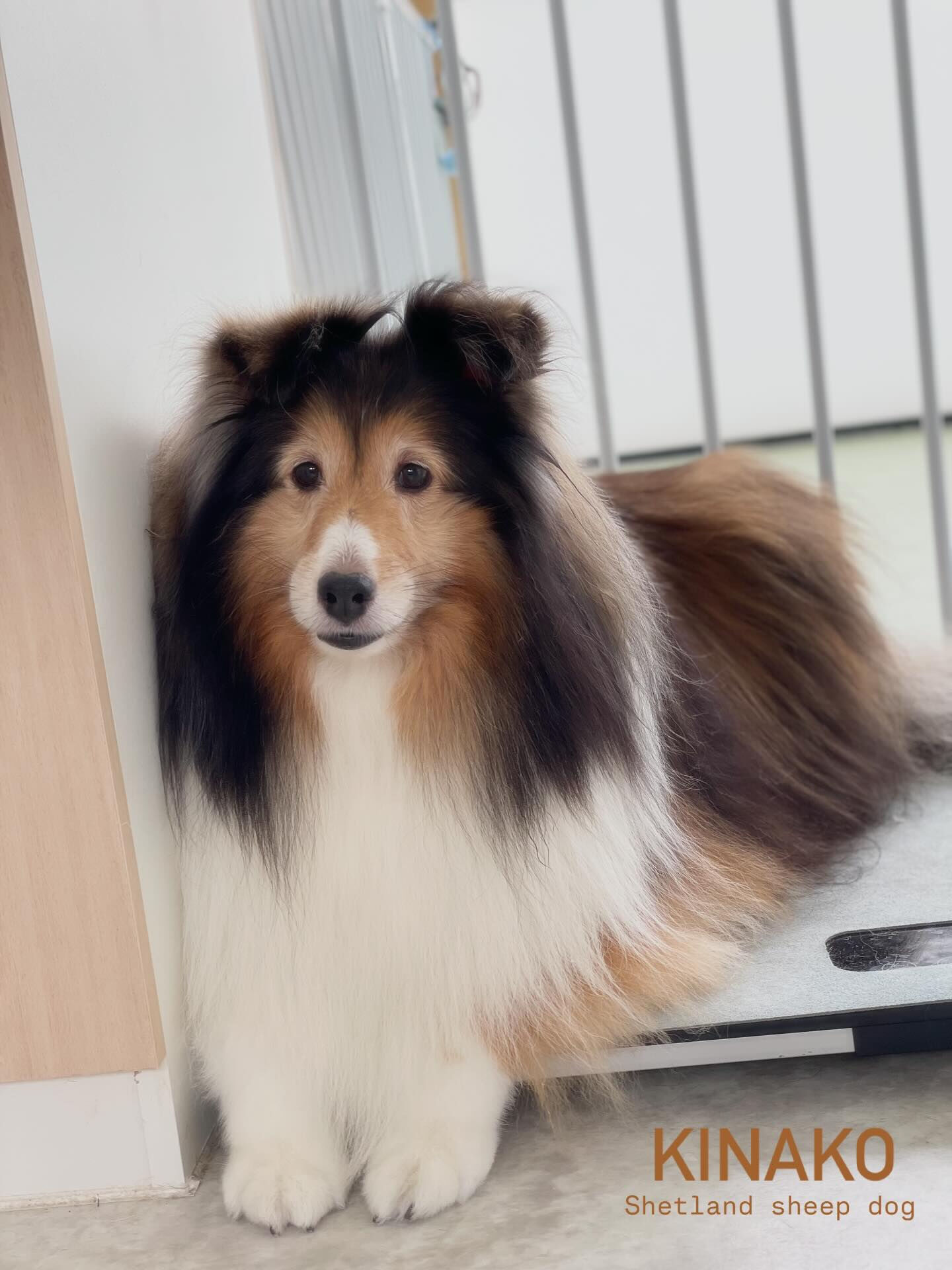 充実した1日！