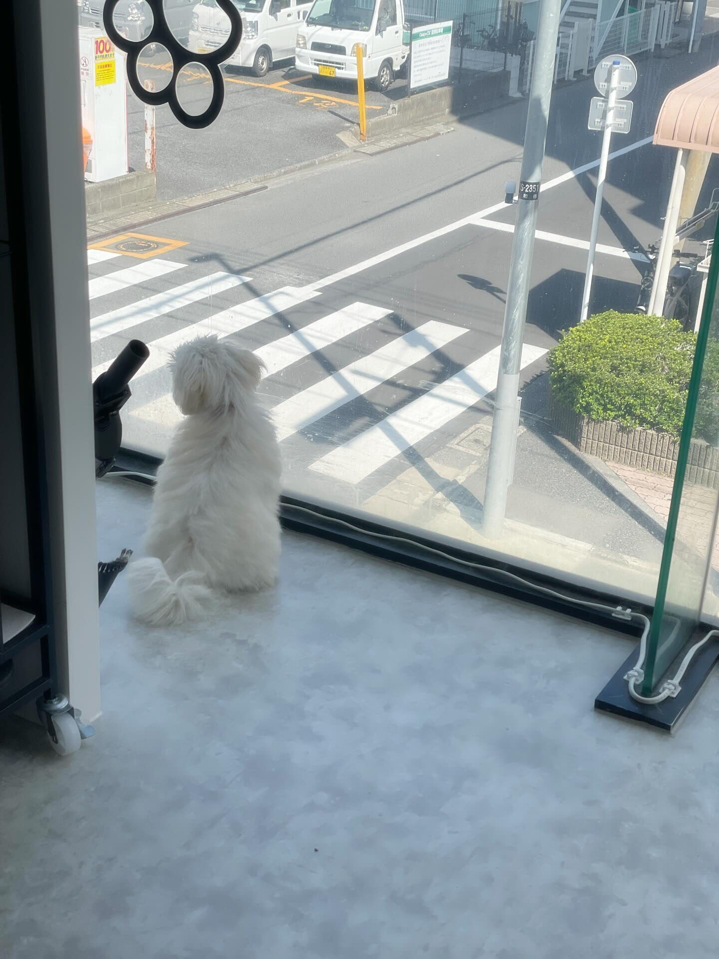 お泊りお疲れ様でした！