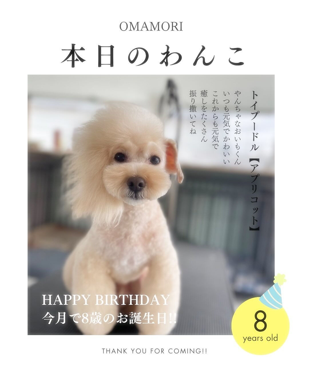 10月はまりもとおいもの誕生日でした🎉