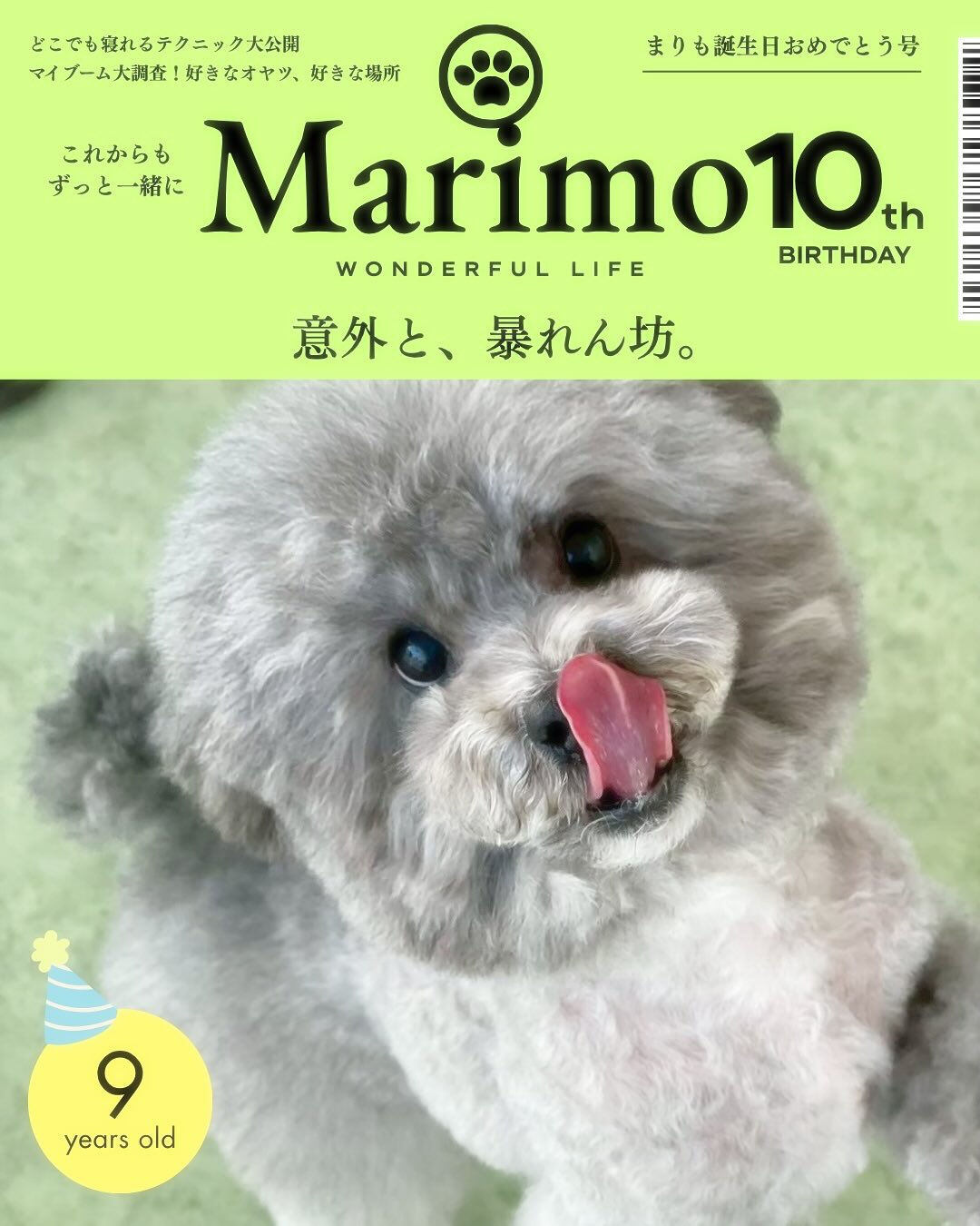 10月はまりもとおいもの誕生日でした🎉