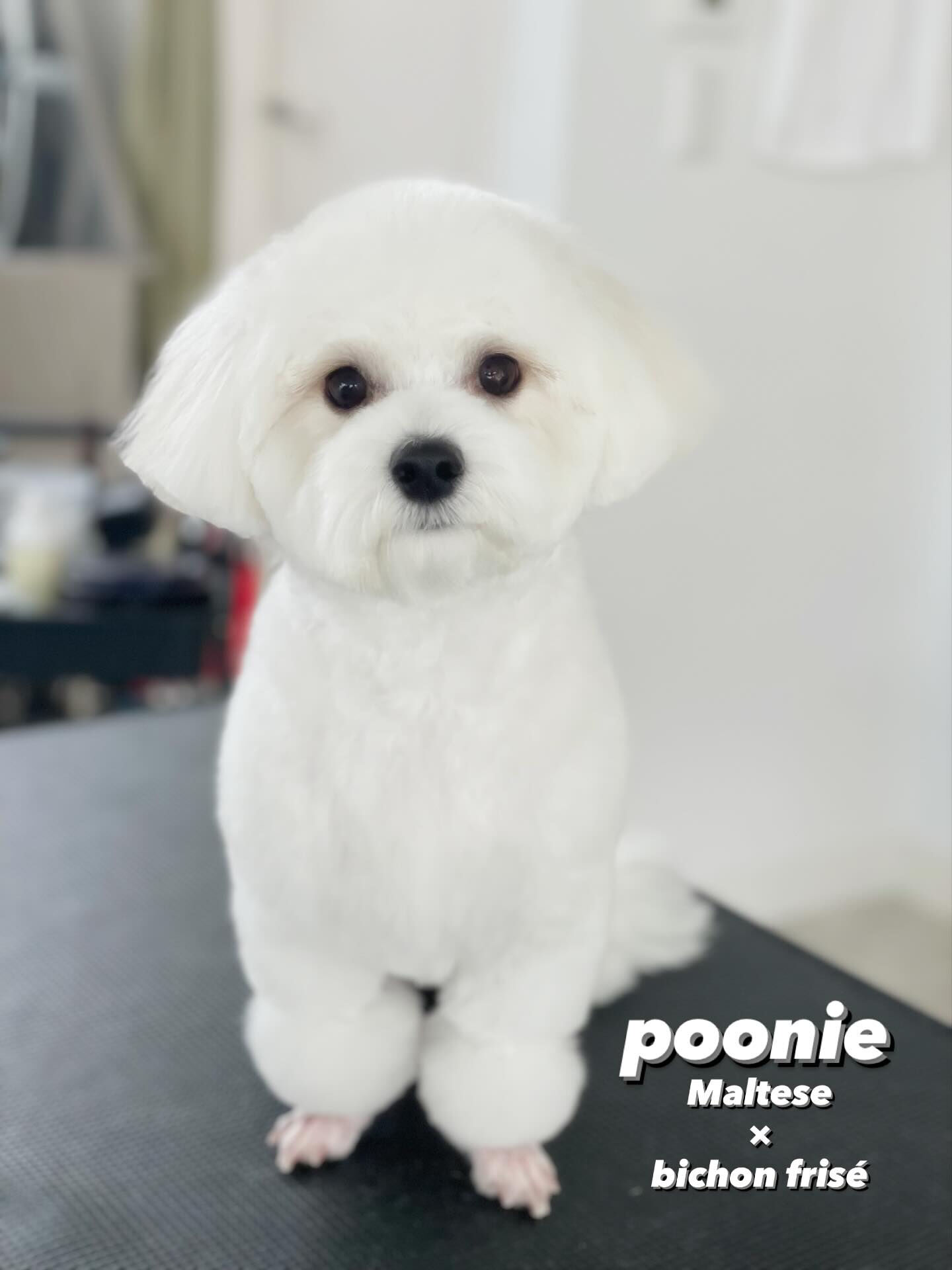 うさぎさんとしろくまさん(๑˃̵ᴗ˂̵)♡