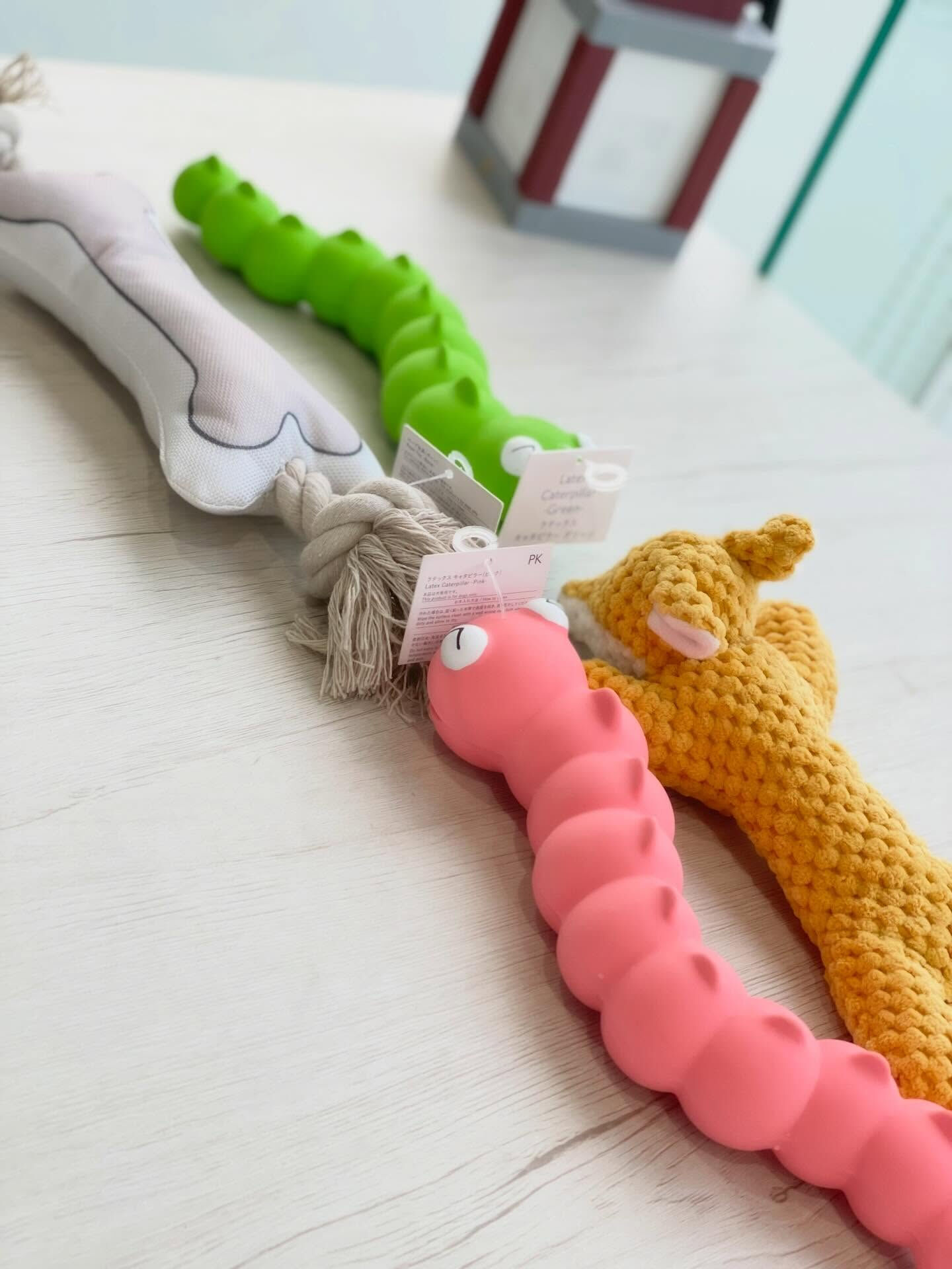 お客さまからプレゼントを頂きました🎁