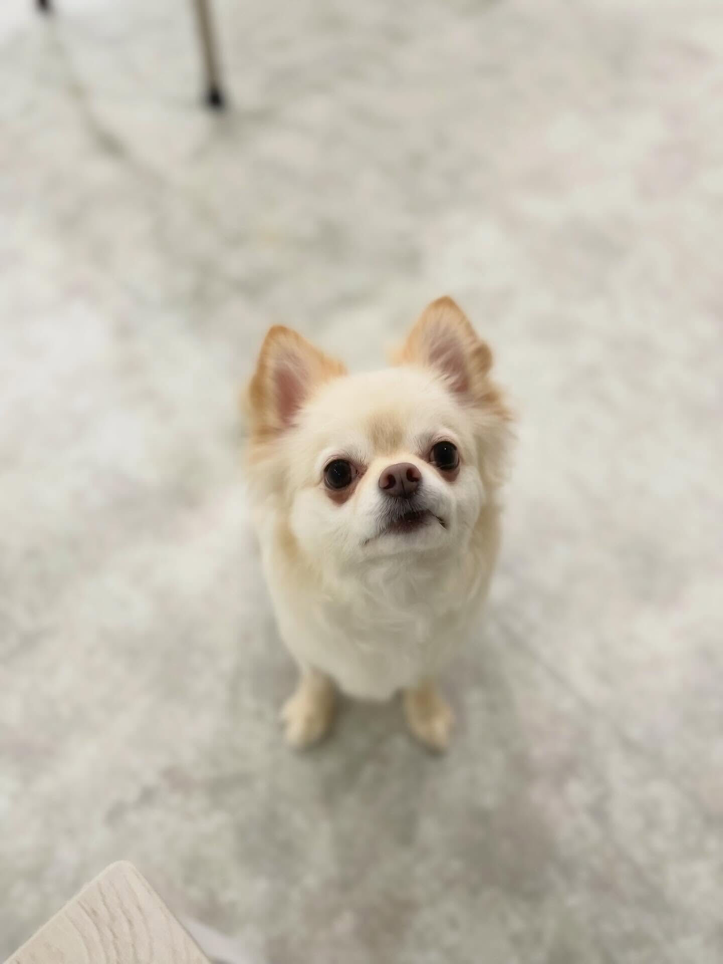 お泊りお疲れさま(*´꒳`*)