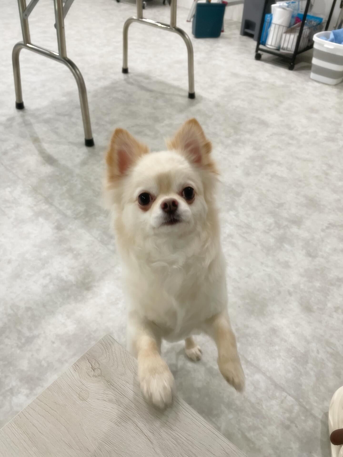 お泊りお疲れさま(*´꒳`*)