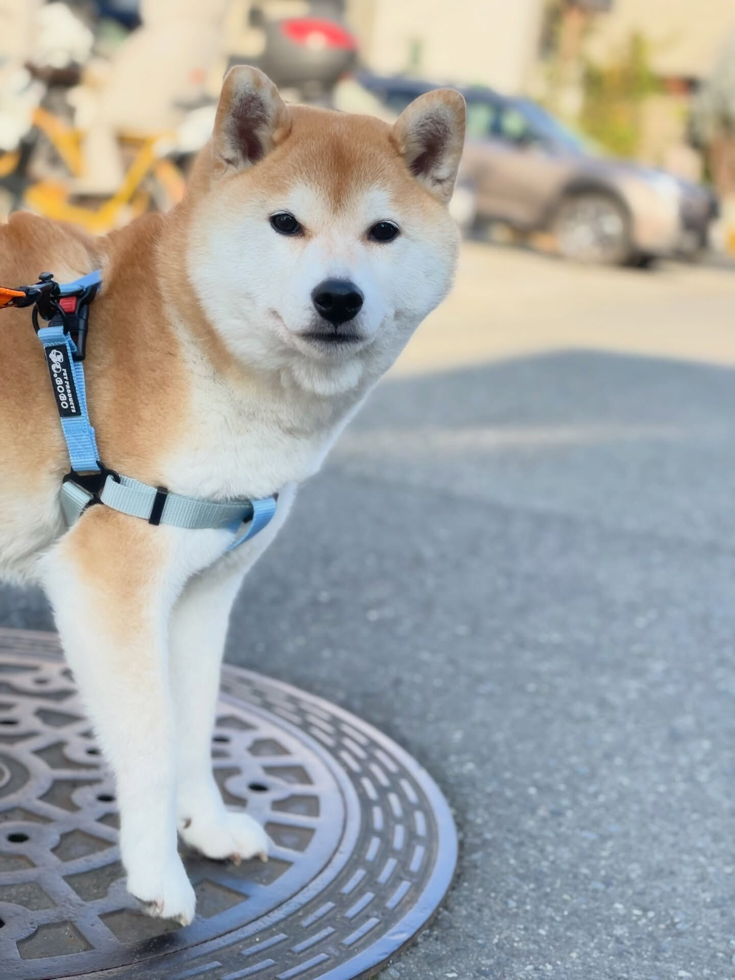 ホテル初めましてのうめさん