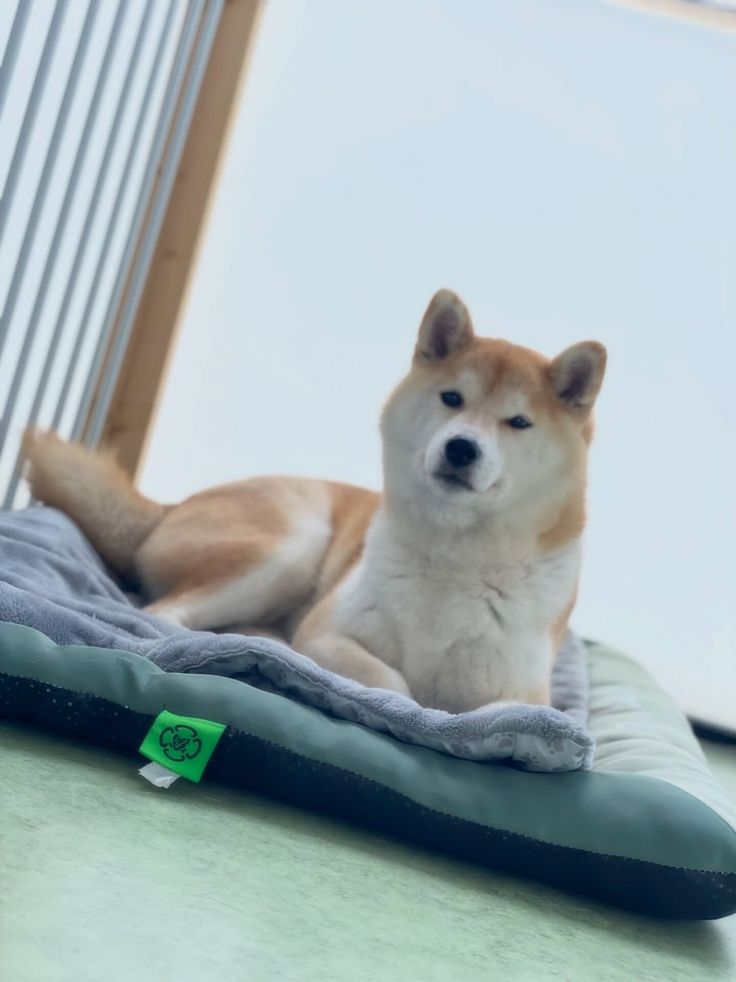 ホテル初めましてのうめさん