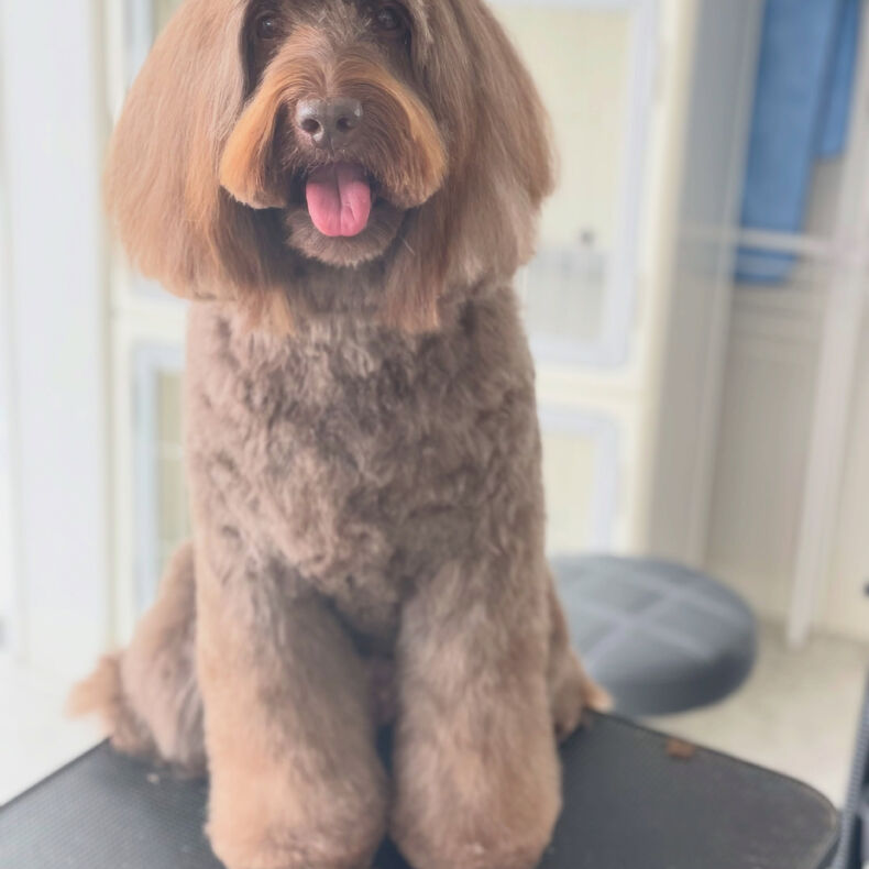 画像3054：みんな姿勢がいいね🤩