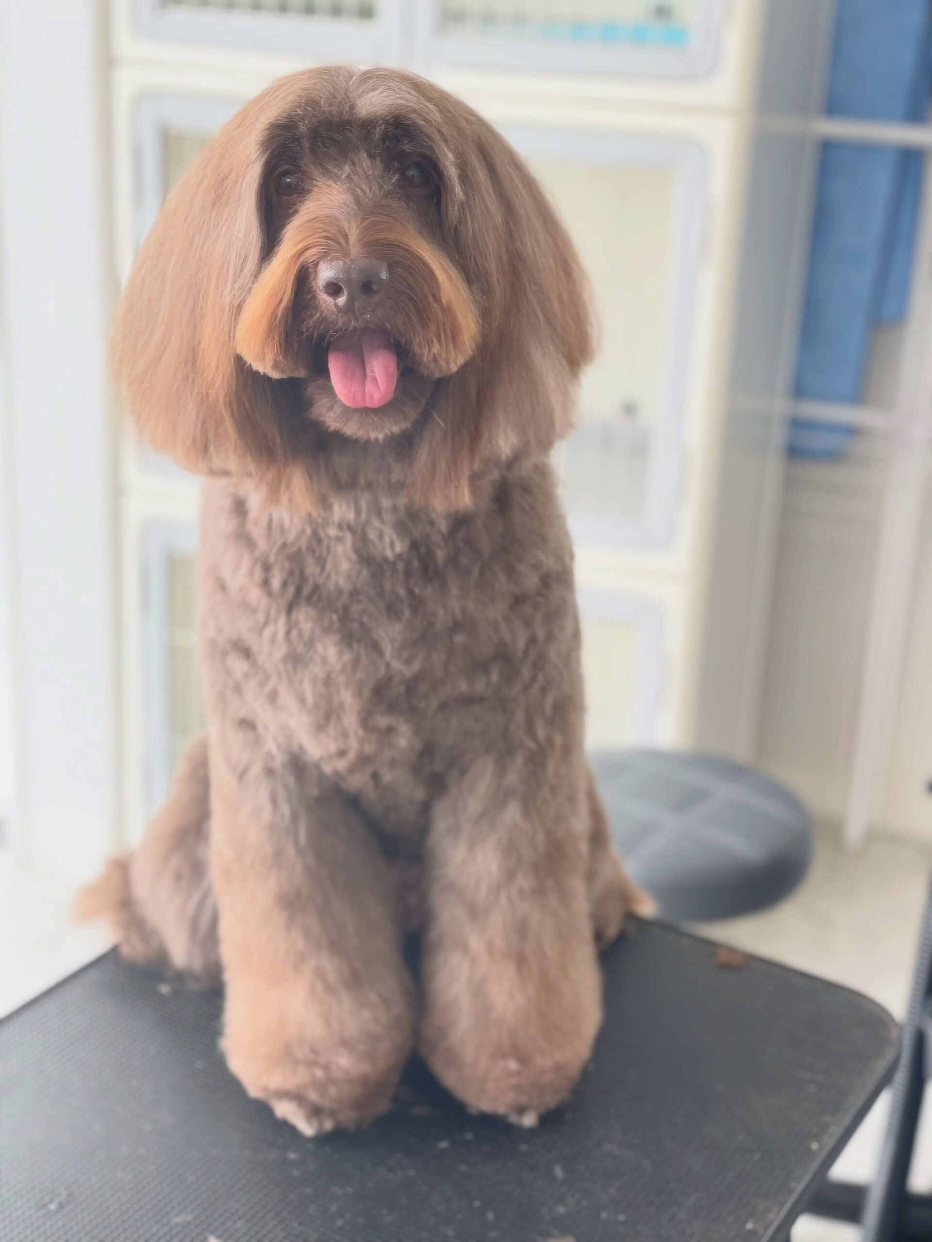 みんな姿勢がいいね🤩